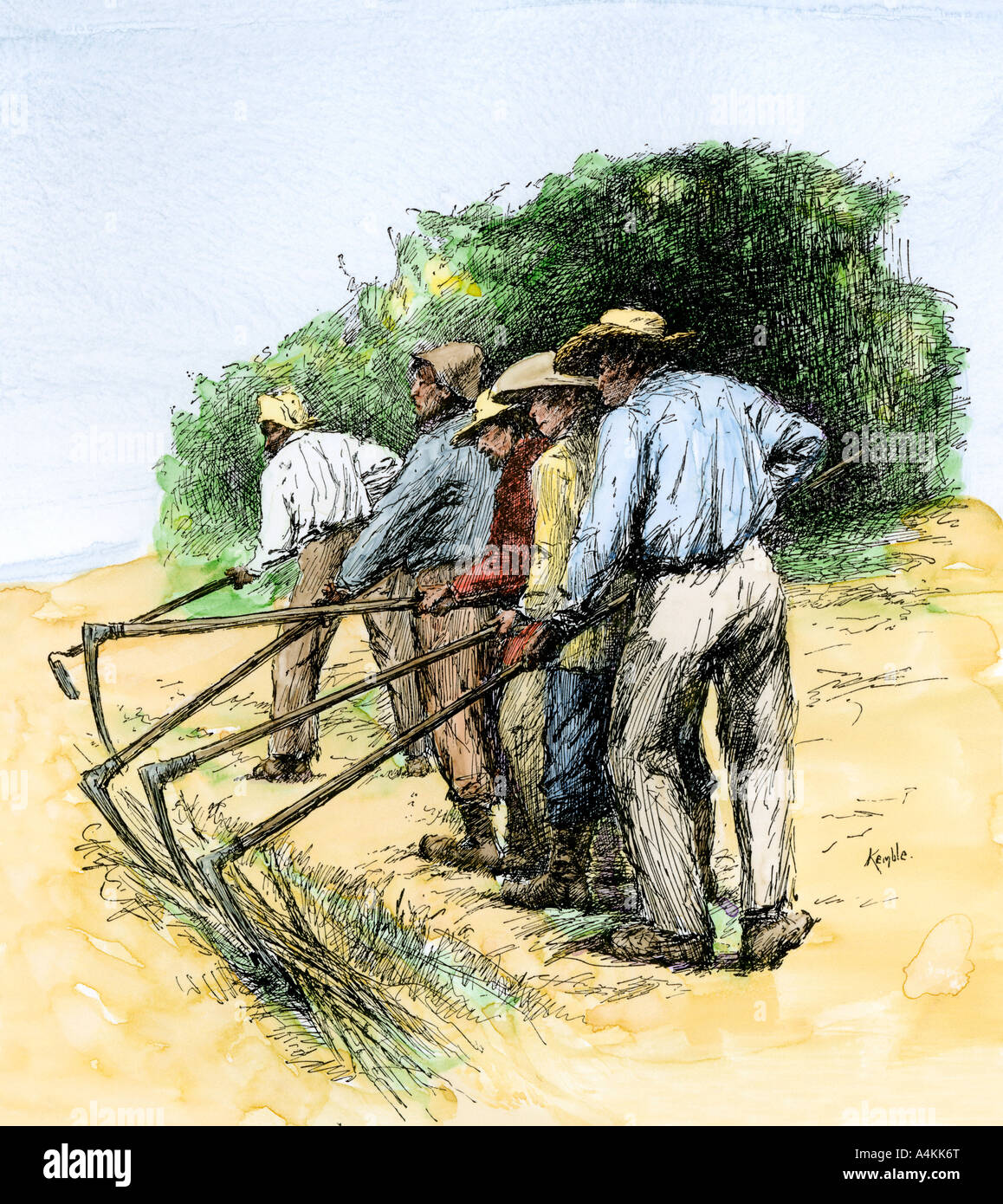 African American field hands hoeing sugar cane in Louisiana 1800s. Hand-colored woodcut of an Edward Kemble illustration Stock Photo