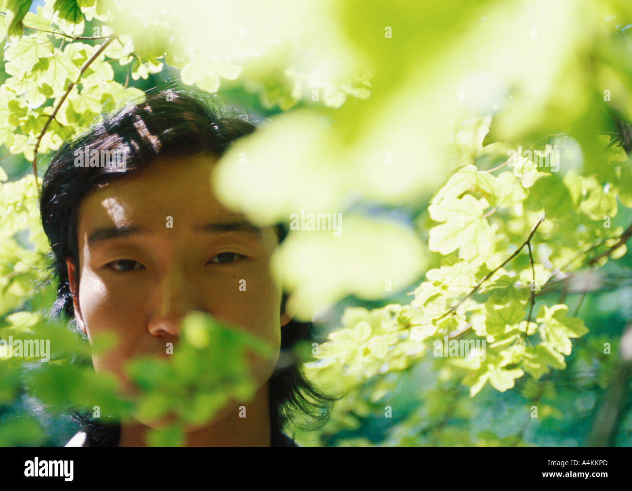 Man's face behind branches, close-up Stock Photo