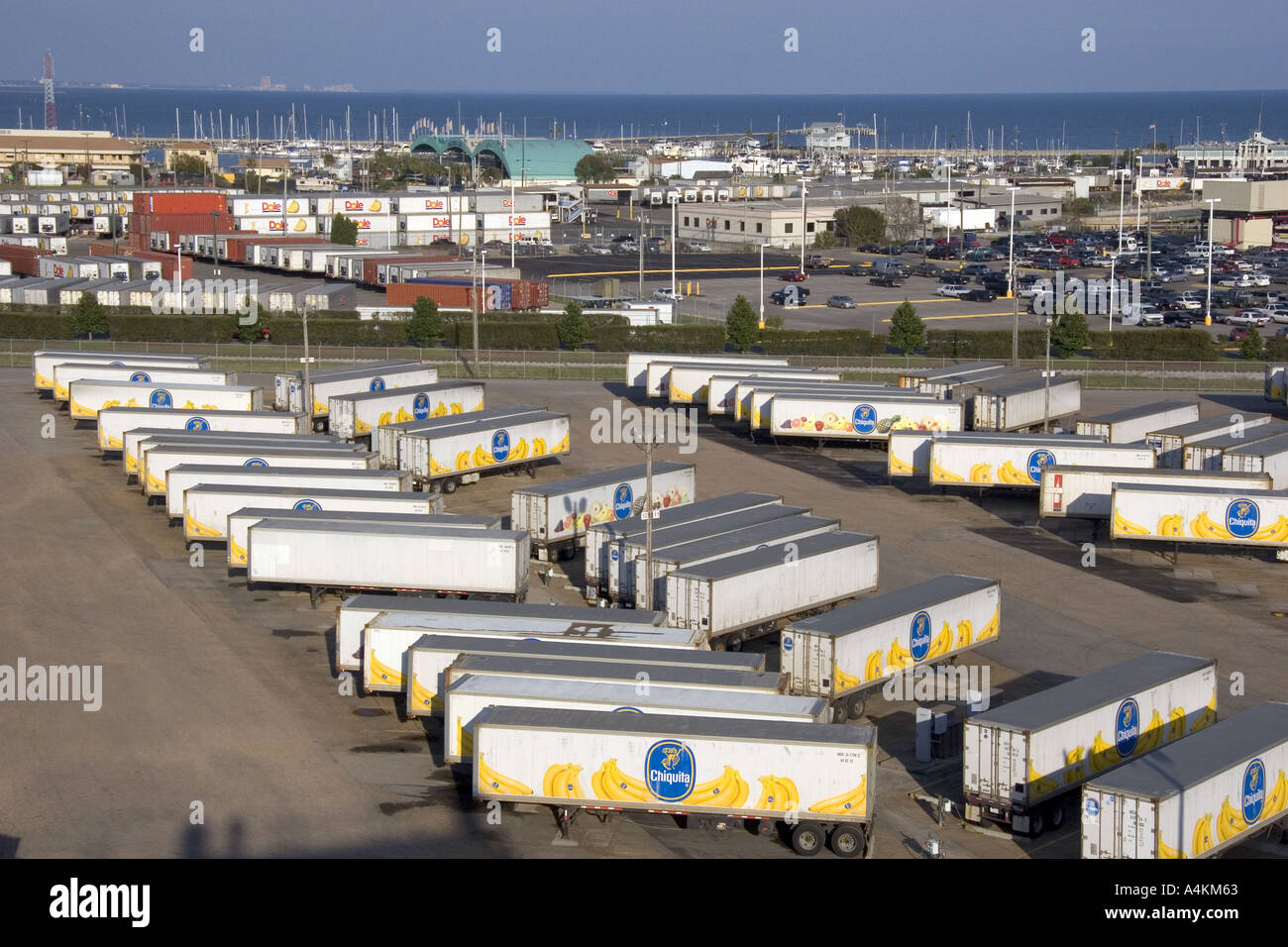 Chiquita bananna transport trailers lined up at Gulfport Mississippi