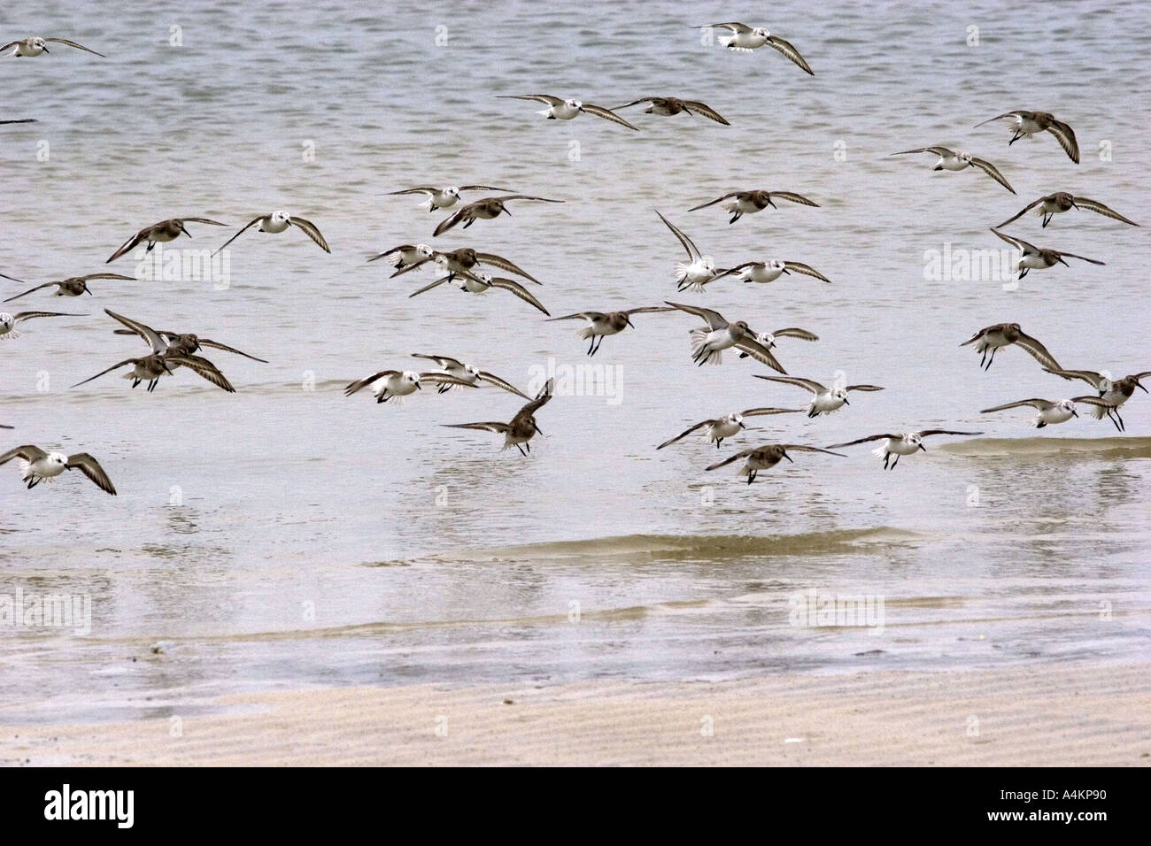Mississippi gulf coast hi-res stock photography and images - Alamy