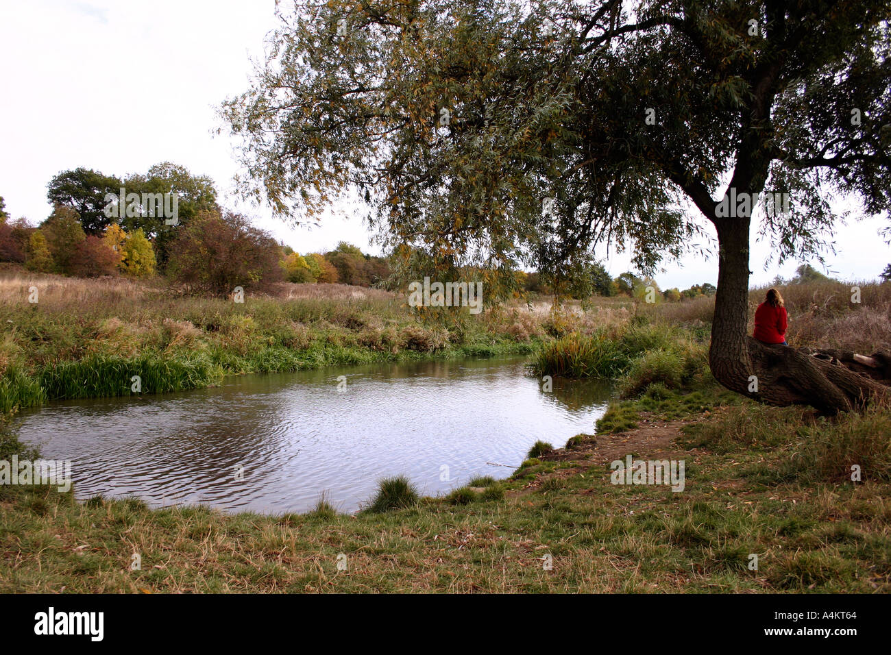 Reflection by the waters edge Stock Photo - Alamy