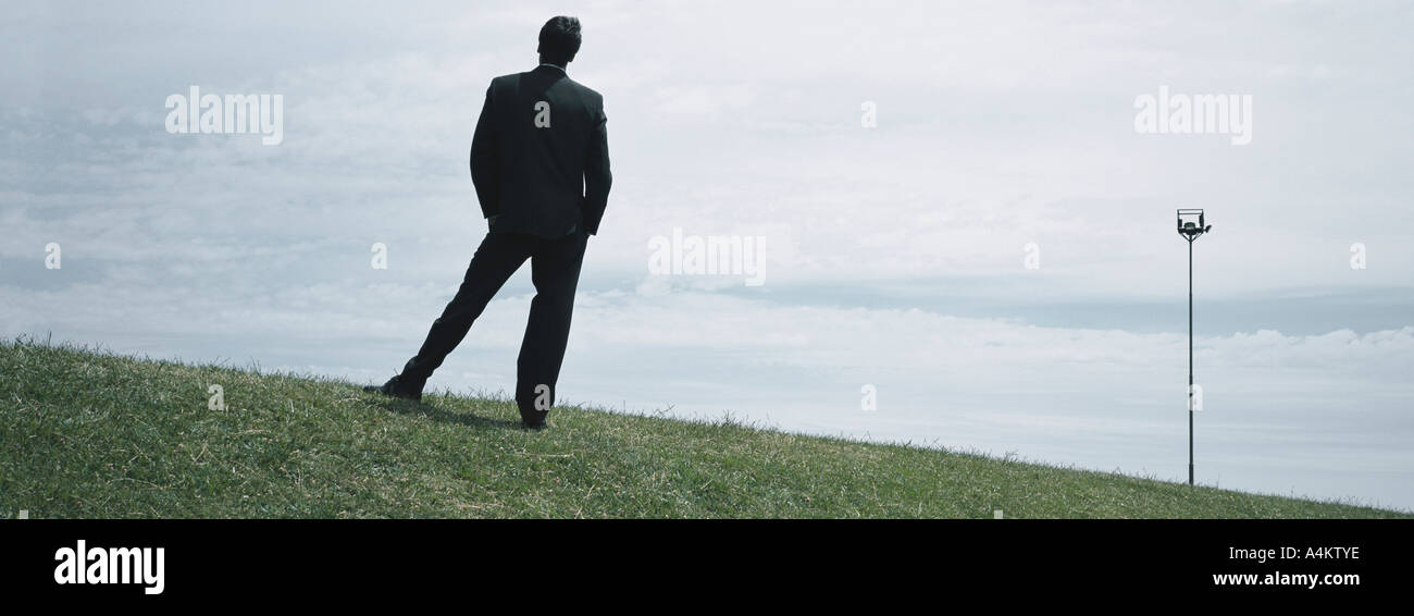 Man in suit standing on grass, full length rear view Stock Photo - Alamy