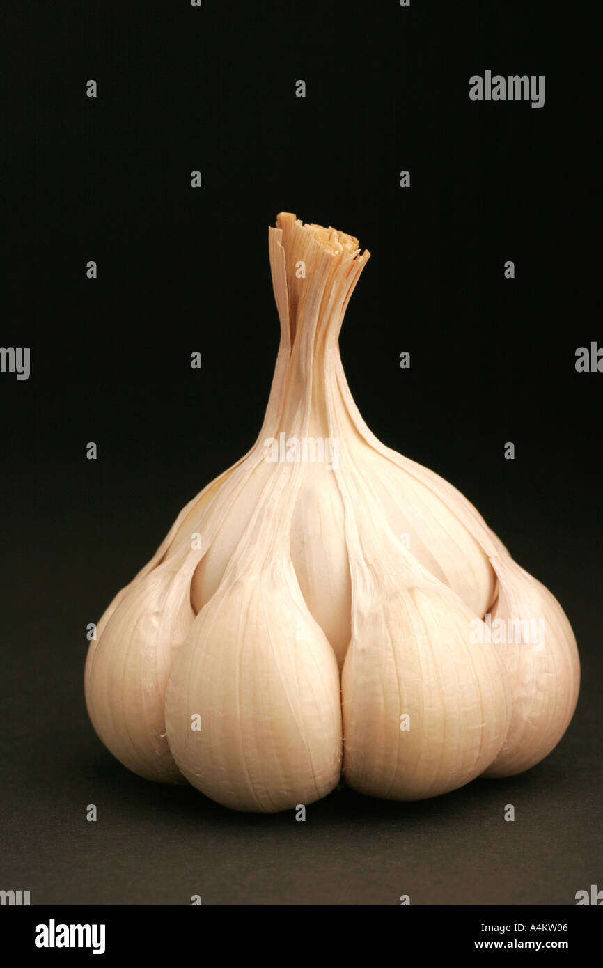 Single garlic clove on black background Stock Photo - Alamy