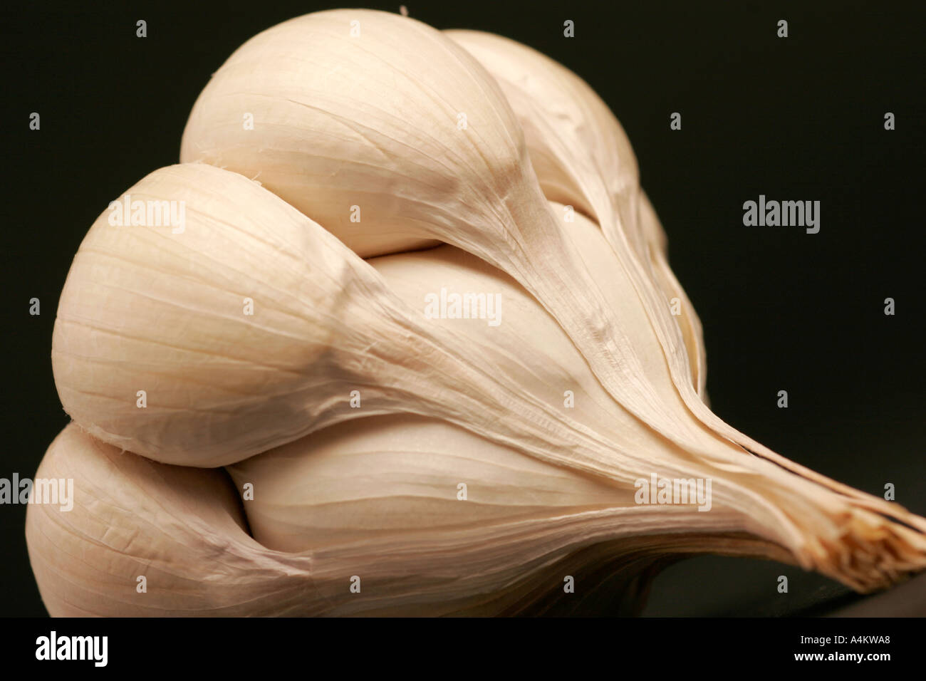 Single garlic clove on black background Stock Photo - Alamy