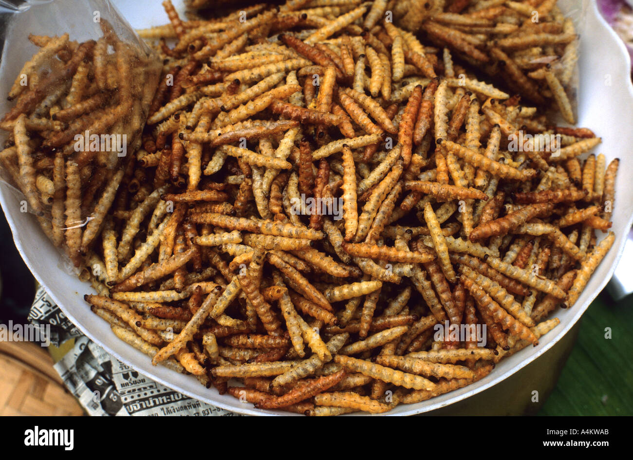 A bowl of roaster grub worms for sale as food in Thailand Stock