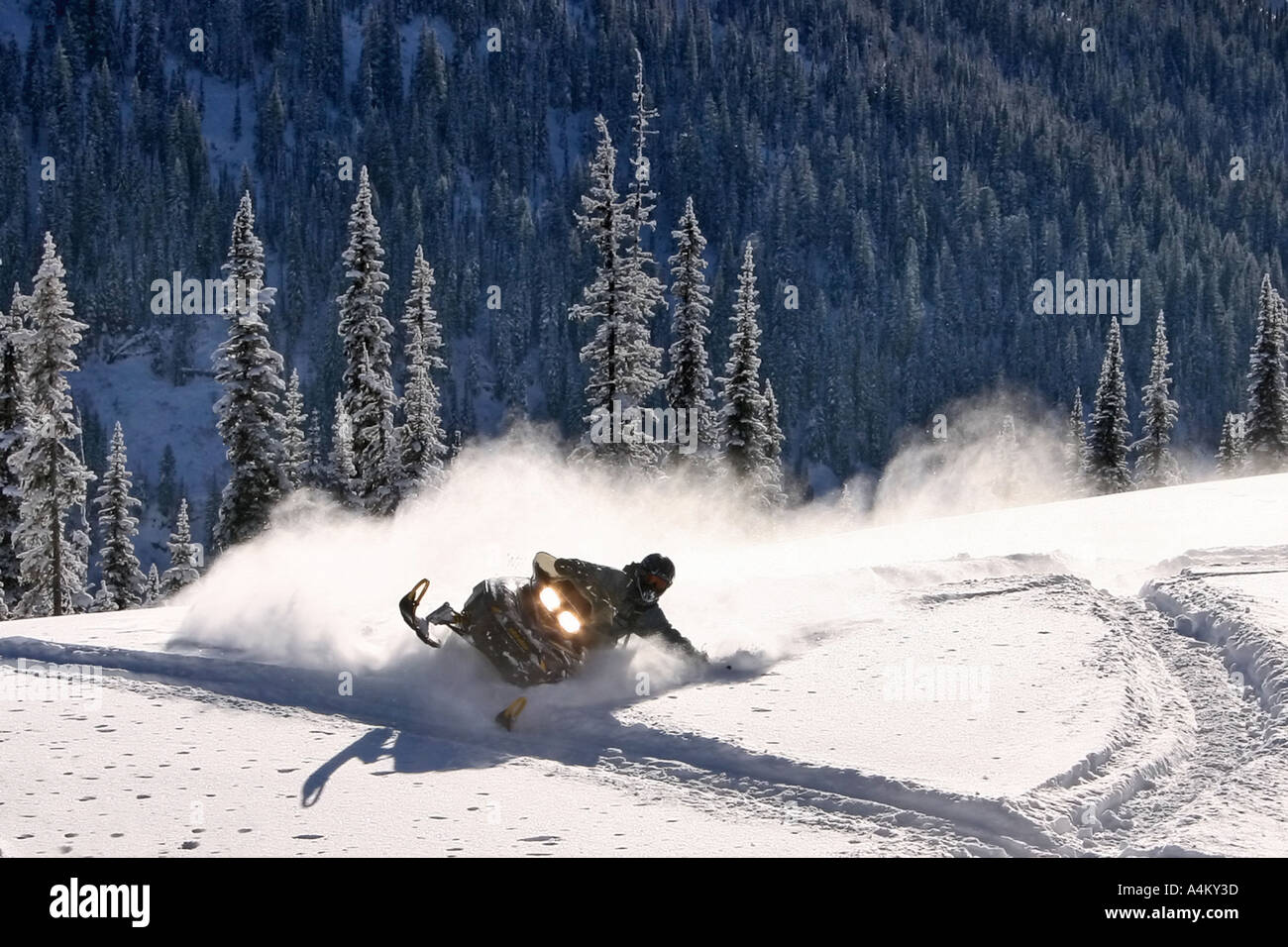 Snowmobile carving in the Powder Backlit Stock Photo Alamy