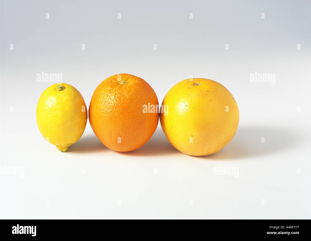 Lemon, orange and grapefruit Stock Photo