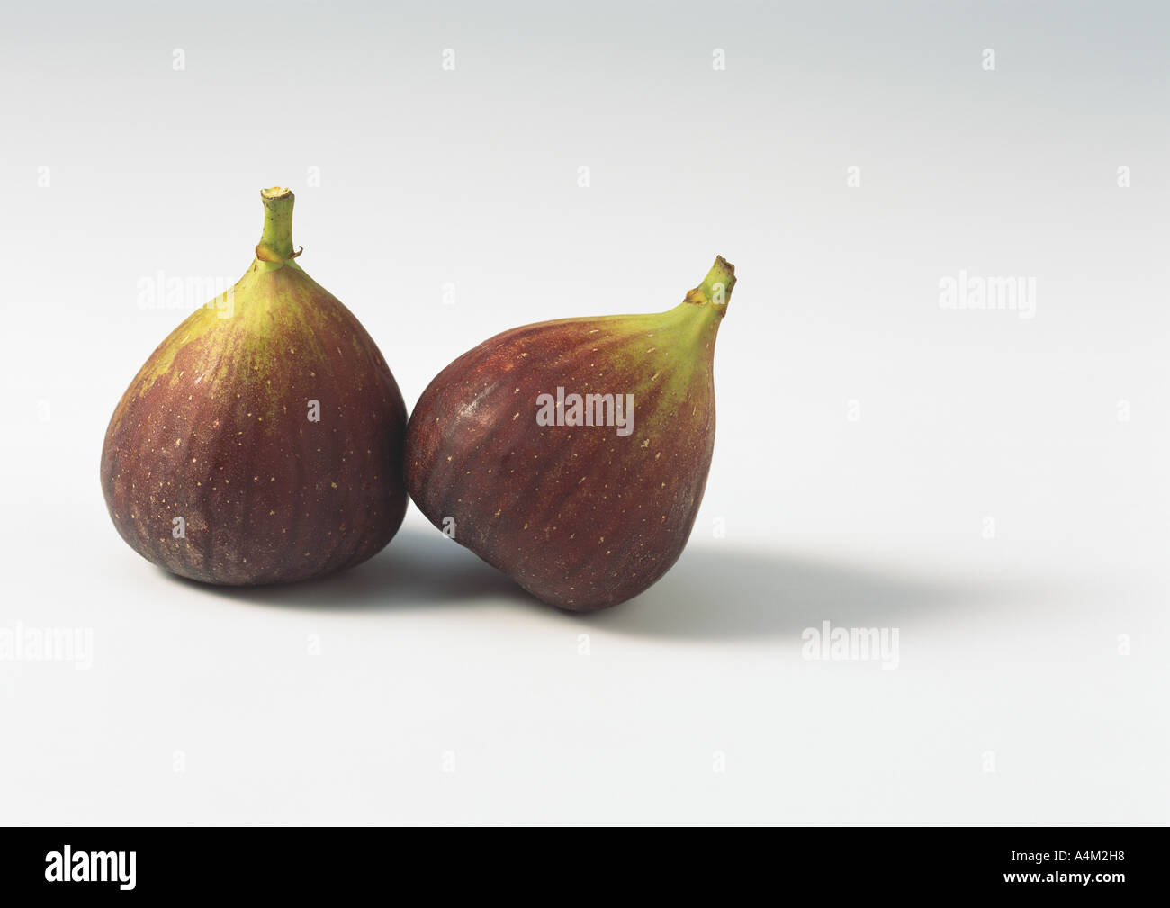 Two figs Stock Photo
