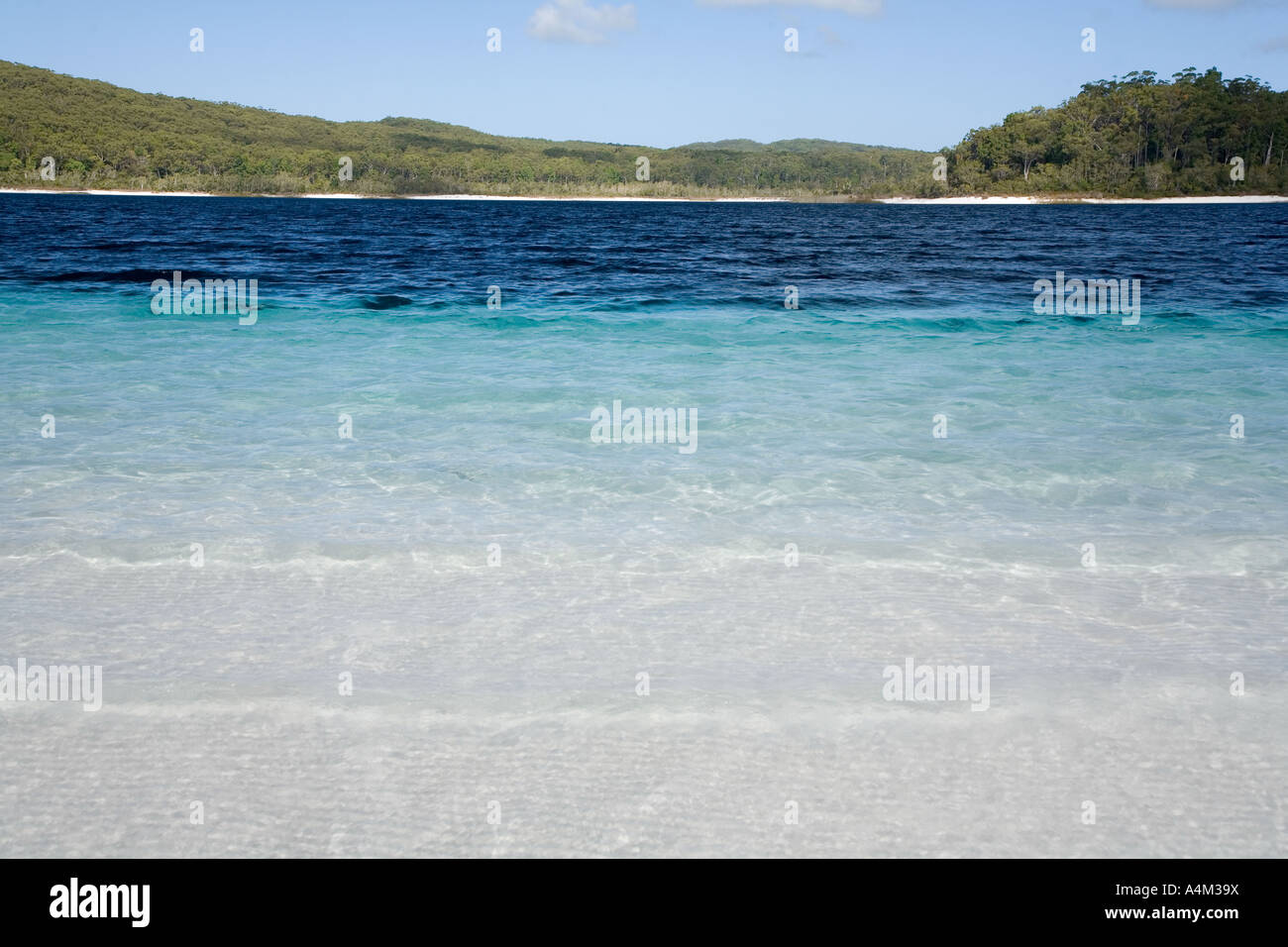 Lake McKenzie Fraser Island, Queensland AUSTRALIA Stock Photo Alamy