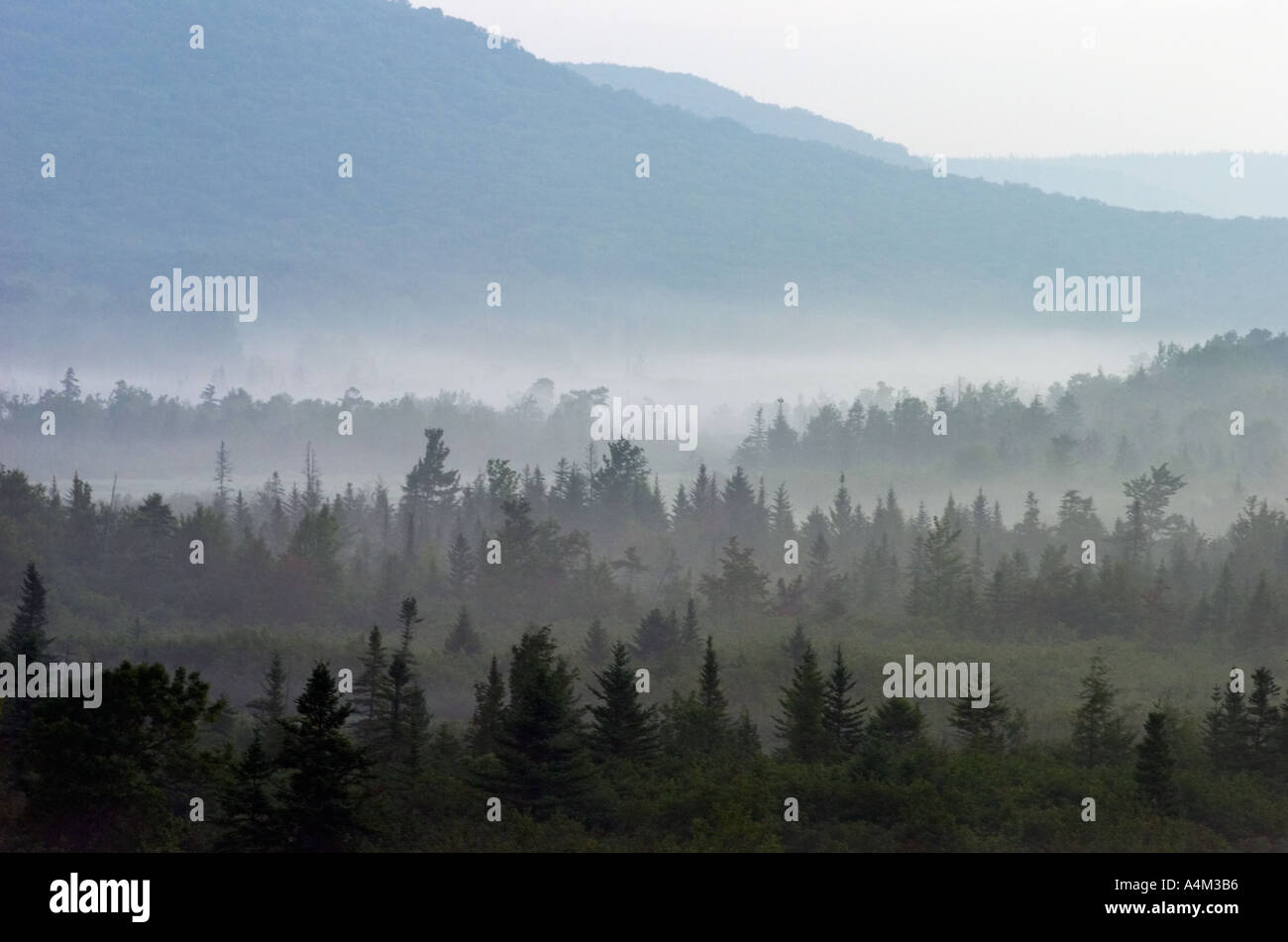 Foggy mountain morning Canaan Valley West Virginia Stock Photo Alamy