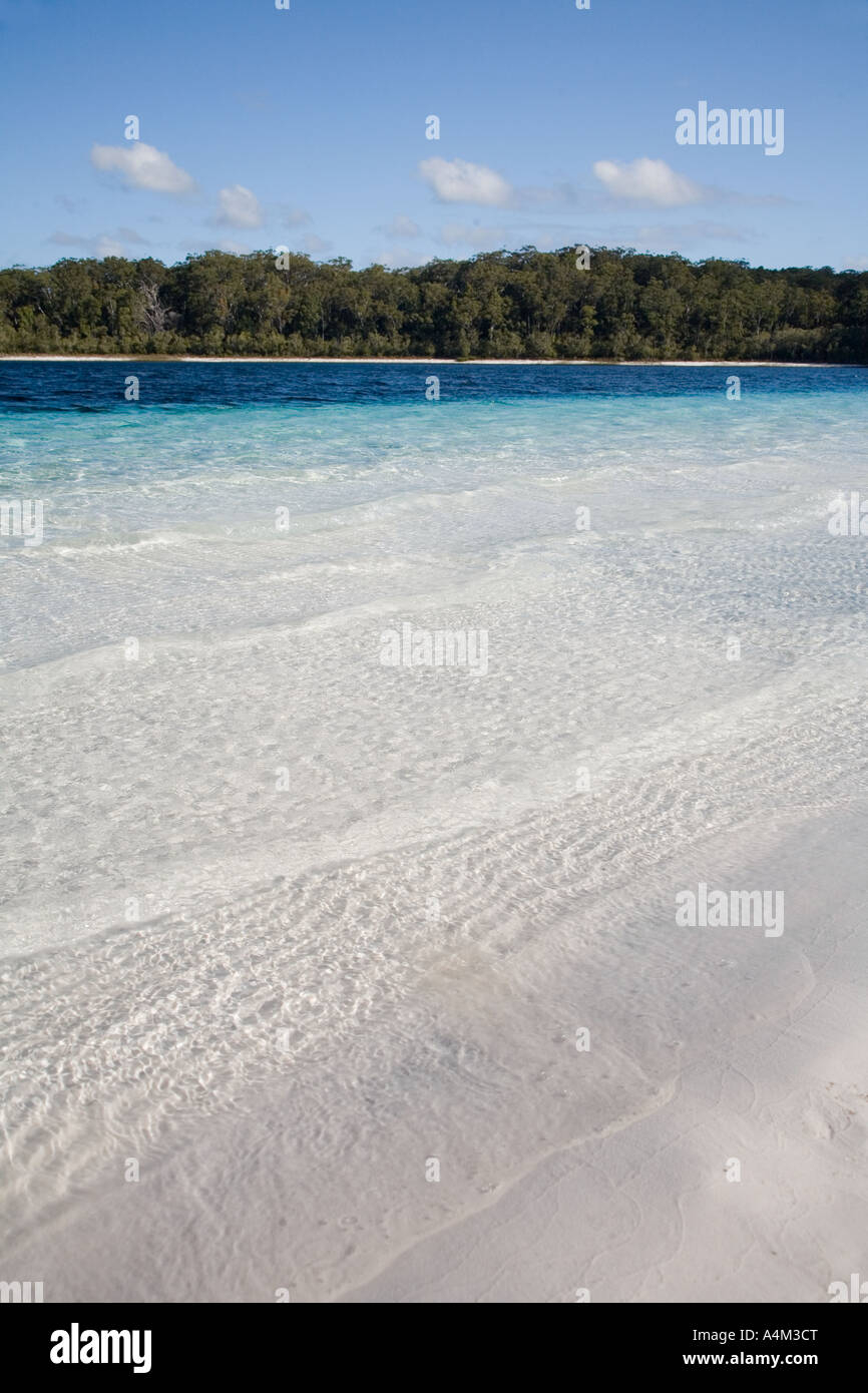 Lake McKenzie Fraser Island, Queensland ,AUSTRALIA Stock Photo Alamy