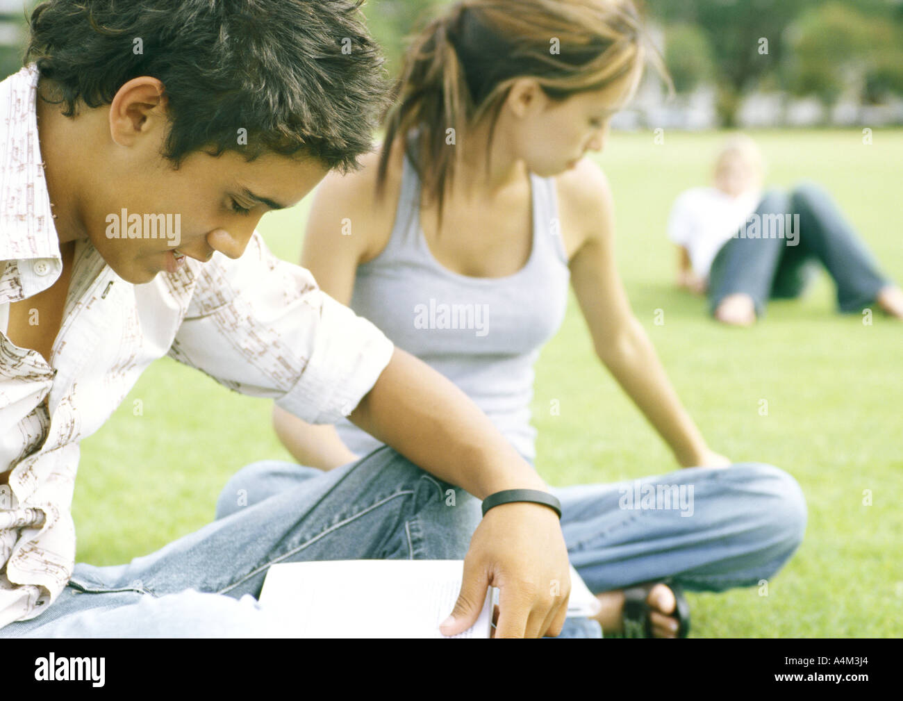 Students sitting on grass, studying Stock Photo