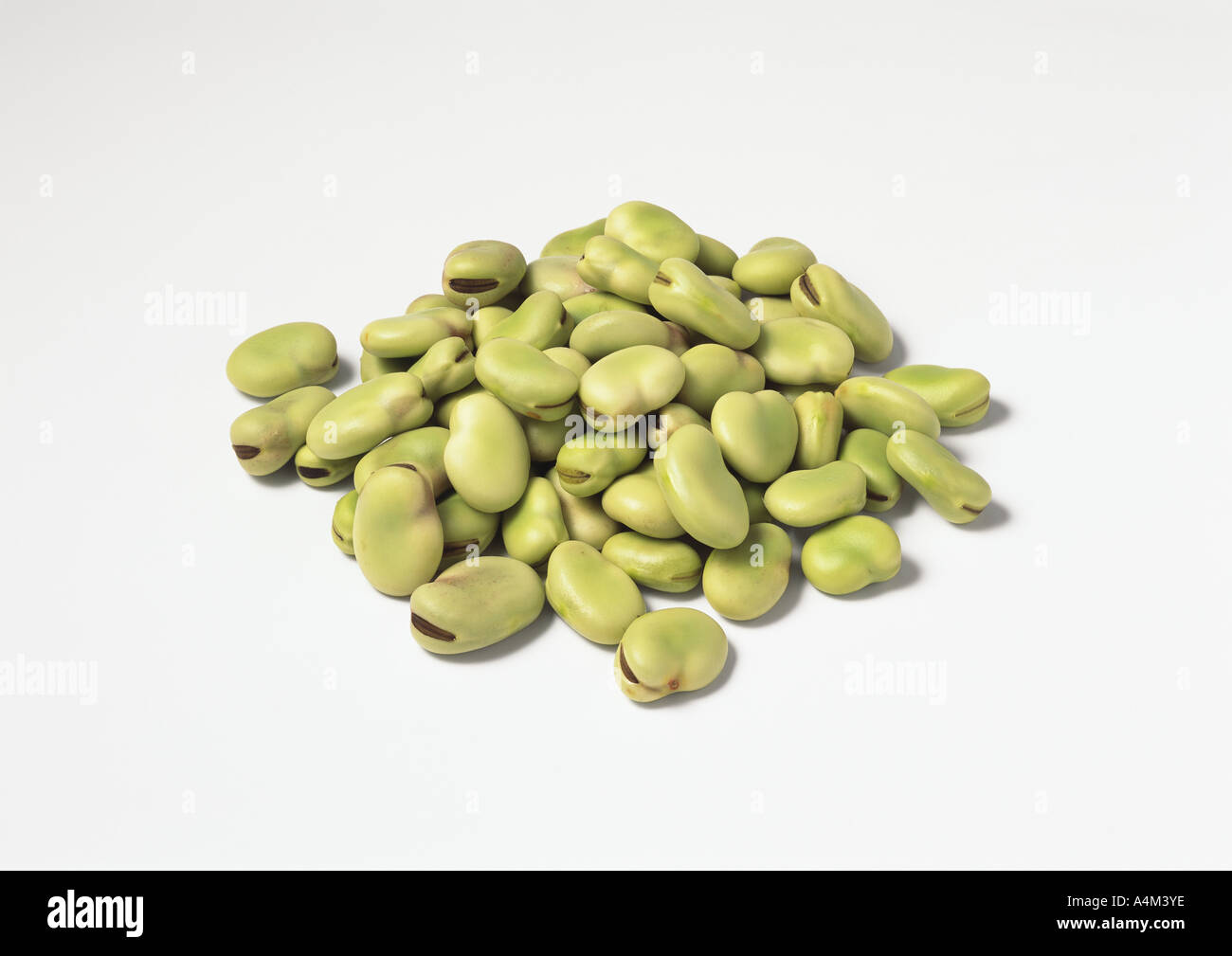 Pile of dried broad beans Stock Photo