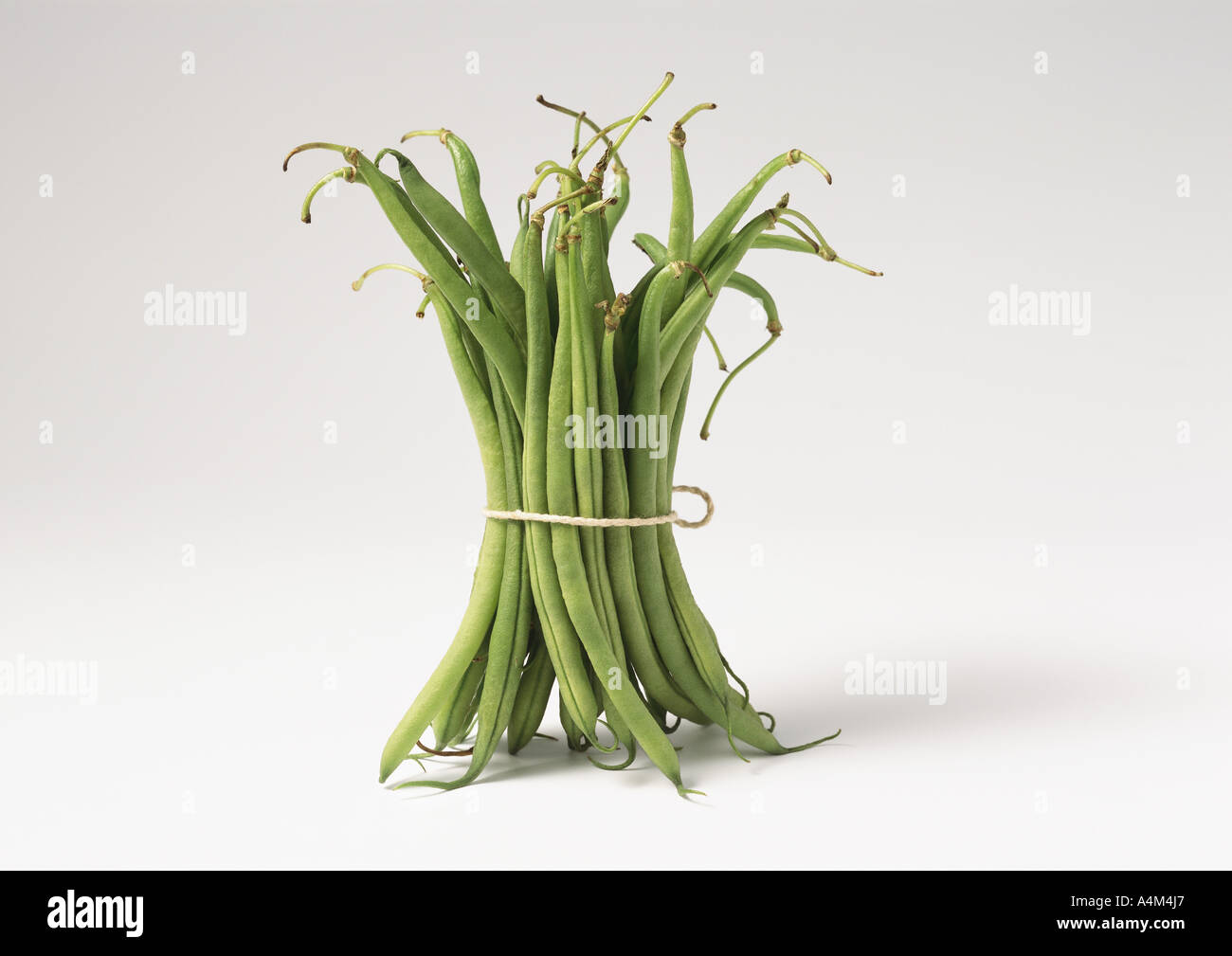 Bundle of string beans Stock Photo