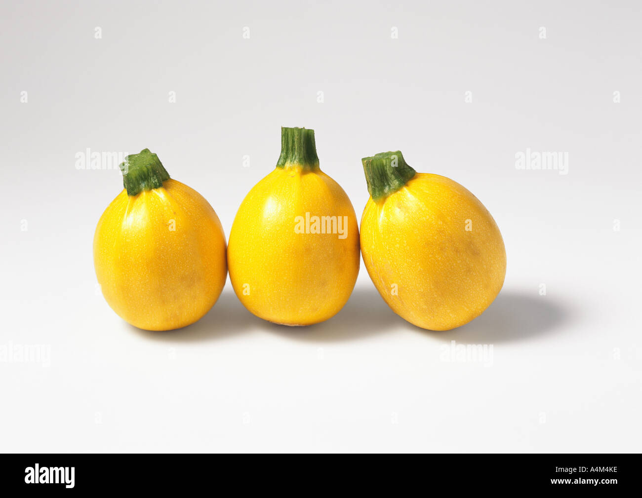 Yellow globe zucchini Stock Photo