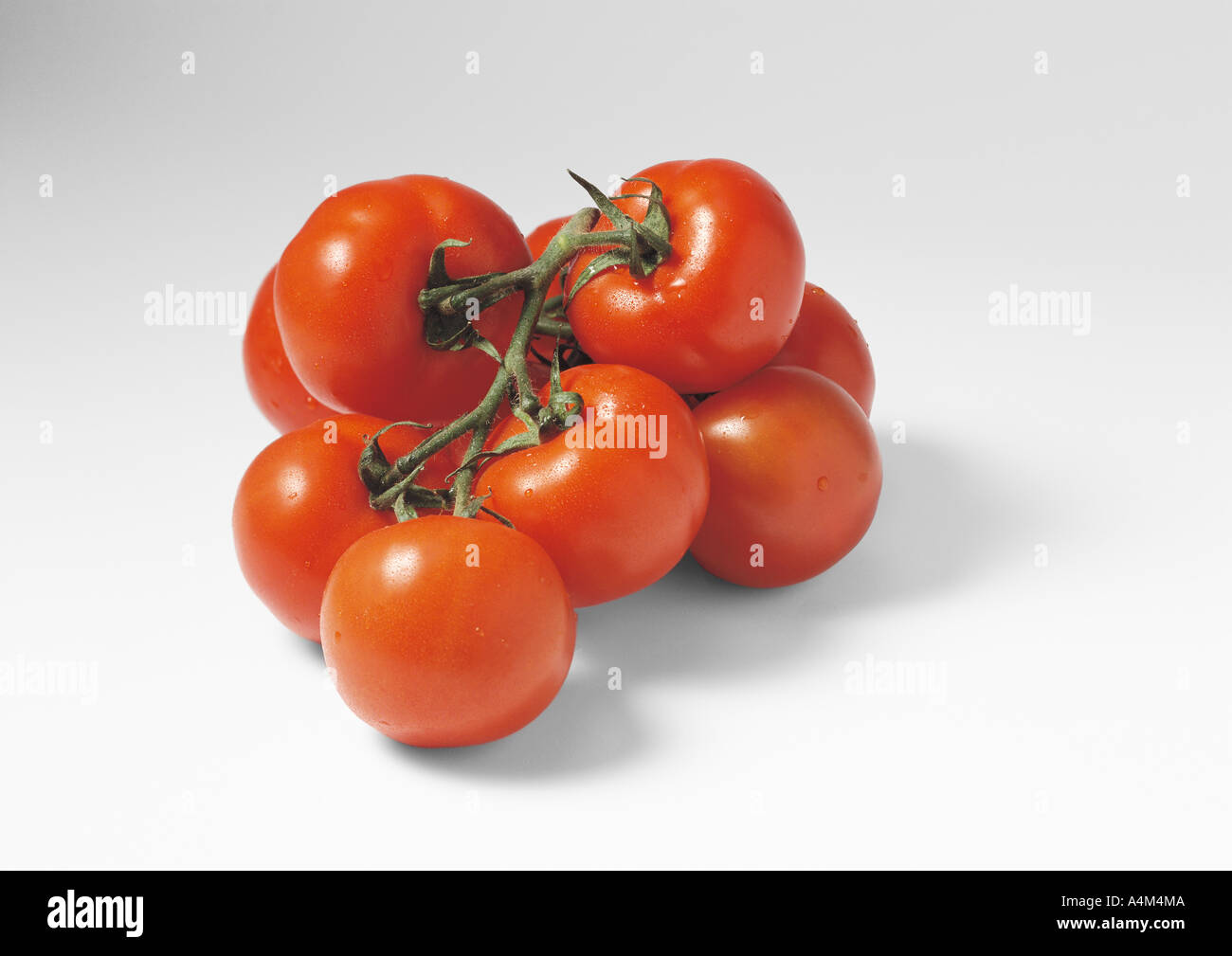 Vine tomatoes Stock Photo