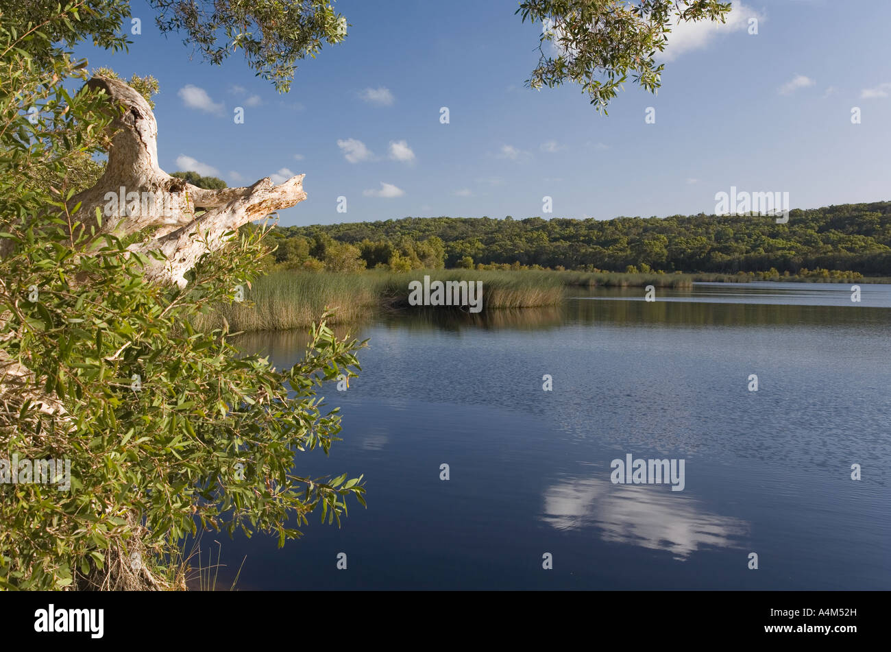 Ocean Lake Fraser Island, Queensland, AUSTRALIA Stock Photo Alamy