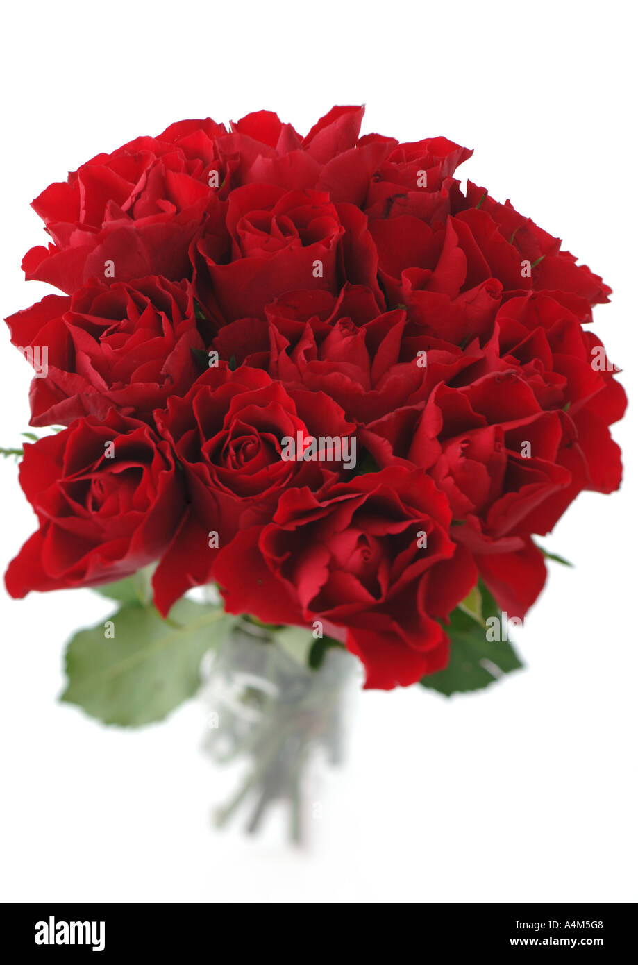 Bouquet of red roses Stock Photo - Alamy