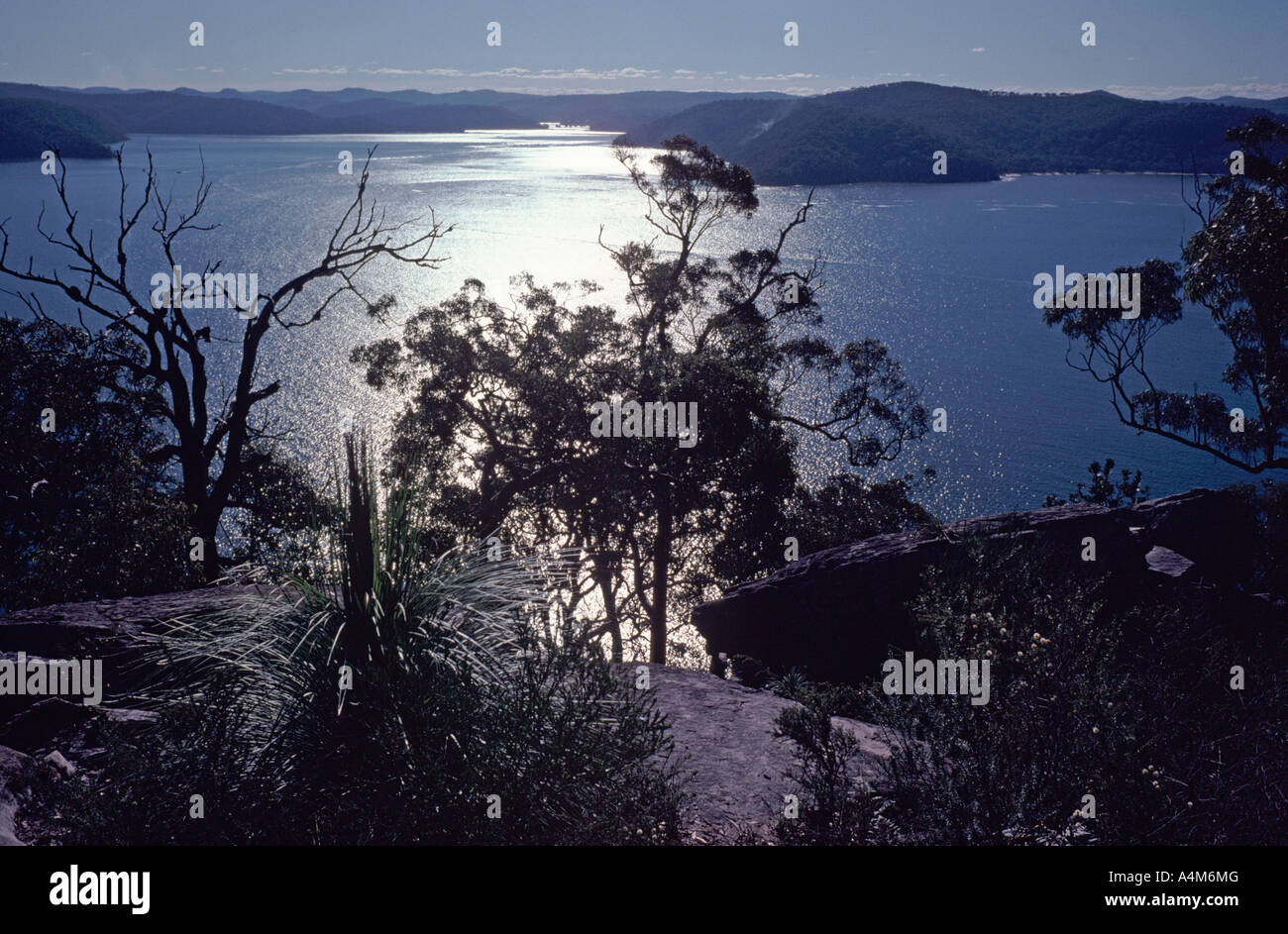 Cowan Water and the Hawkesbury River from Challenger Head, Kuringai National Park, near Sydney, New South Wales, Australia Stock Photo