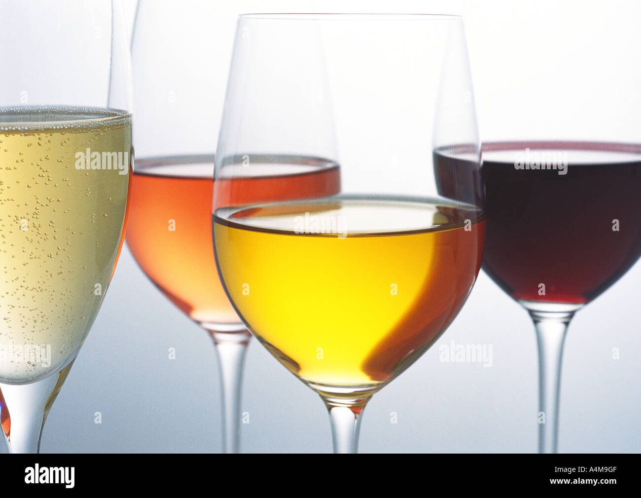 Glasses of various wines Stock Photo