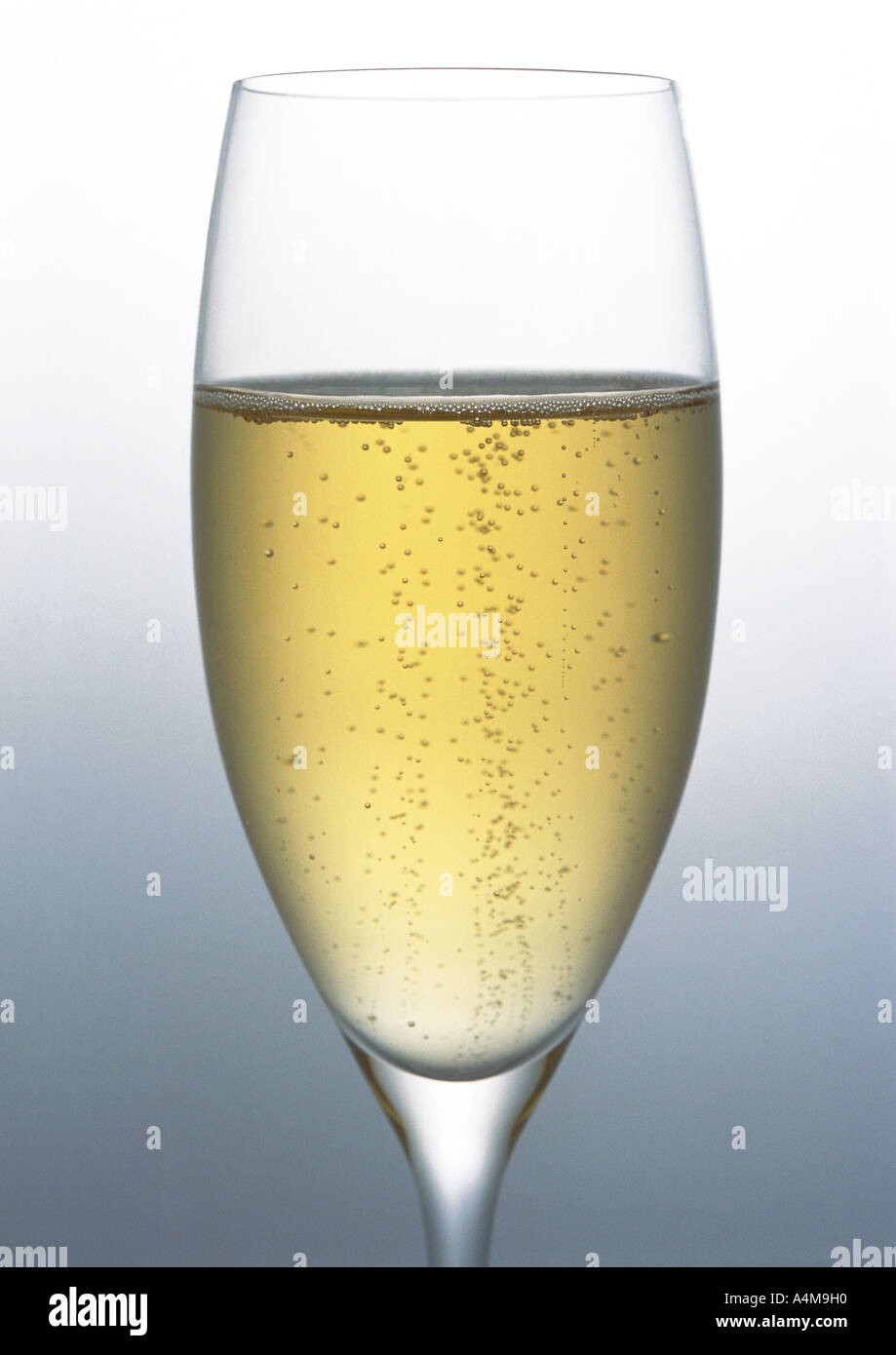 Flute of Champagne Stock Photo