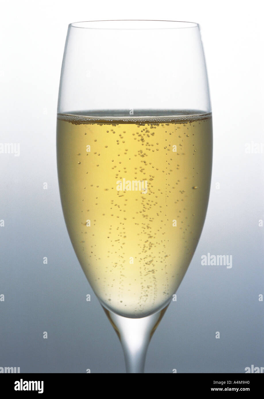 Flute of Champagne Stock Photo Alamy