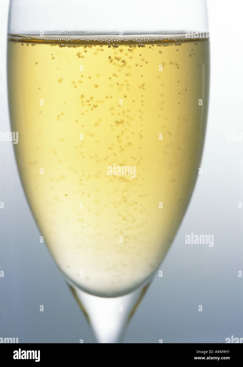 Flute of Champagne Stock Photo