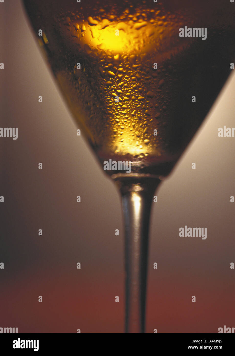 Glass of white wine Stock Photo