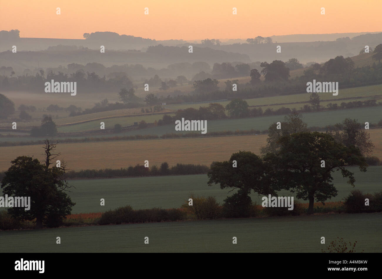 Misty morning from Harewood Bank, lower Wharfedale, West Yorkshire Stock Photo