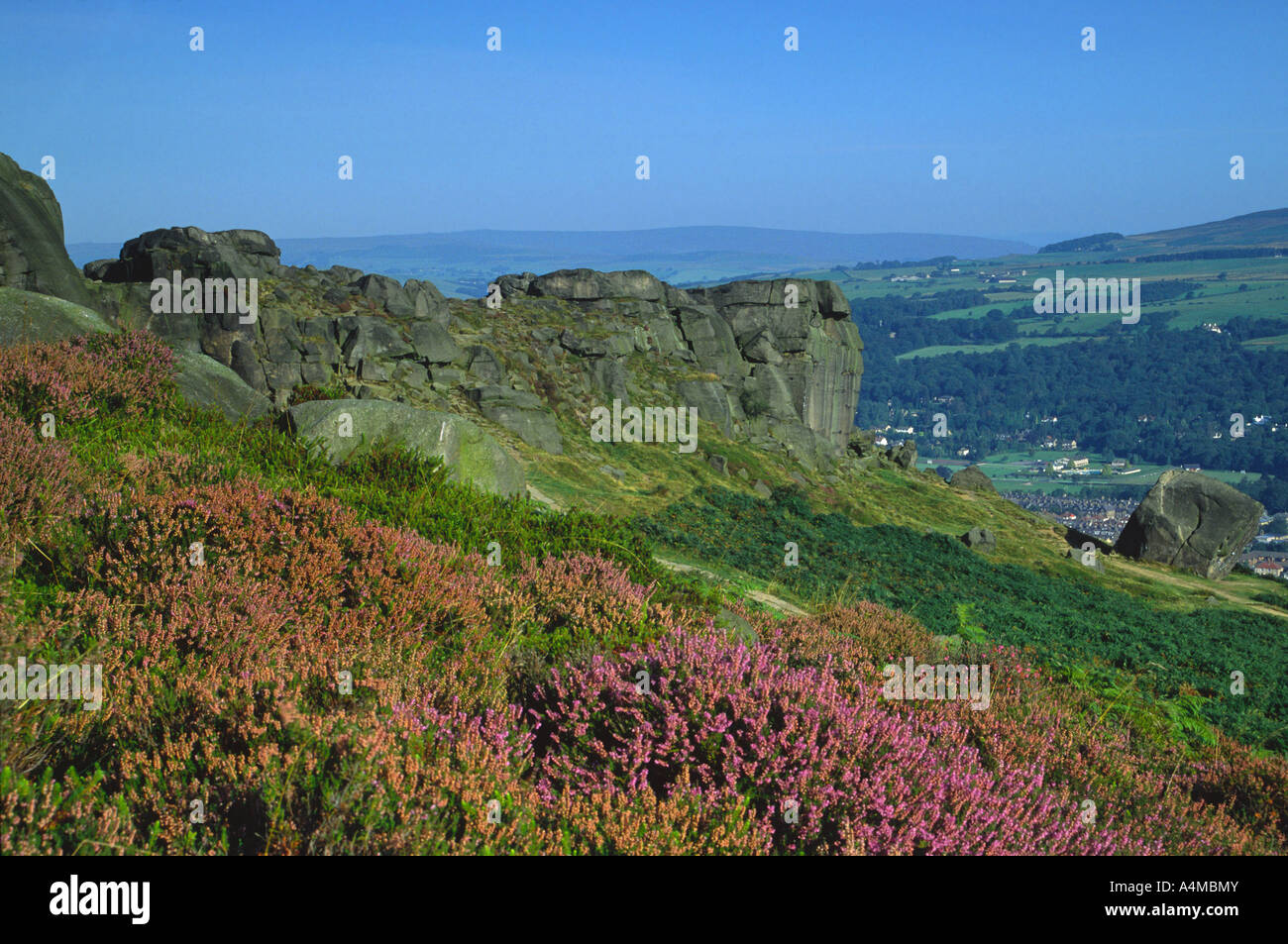 The Cow and Calf Rocks, Ilkley Moor, West Yorkshire Stock Photo - Alamy