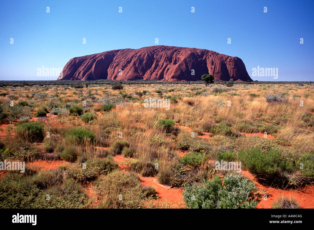 Uluru, also known as Ayers Rock in the Kata Tjuta Uluru National Park of Australia's northern Territories. Stock Photo