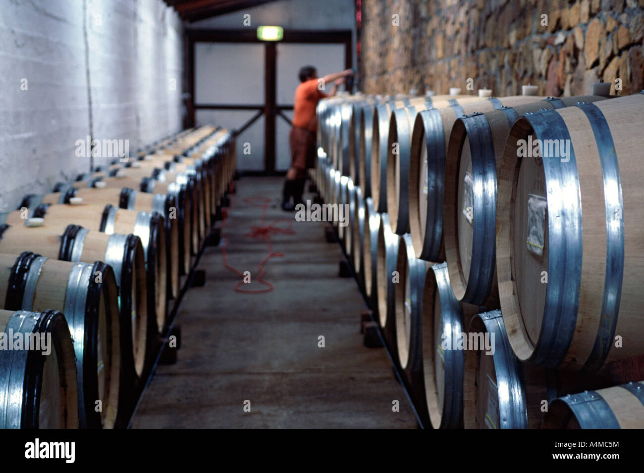Wine barrels inside the Cullen Winery in Margaret River, Western