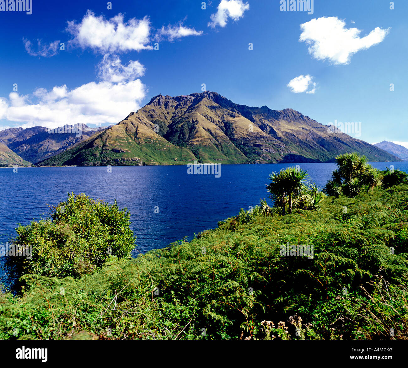 Lake Wakatipu in the Queenstown environs of New Zealand's south island ...