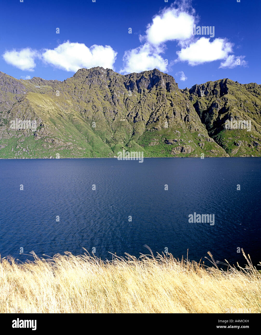 Lake Wakatipu in the Queenstown environs of New Zealand's south island ...