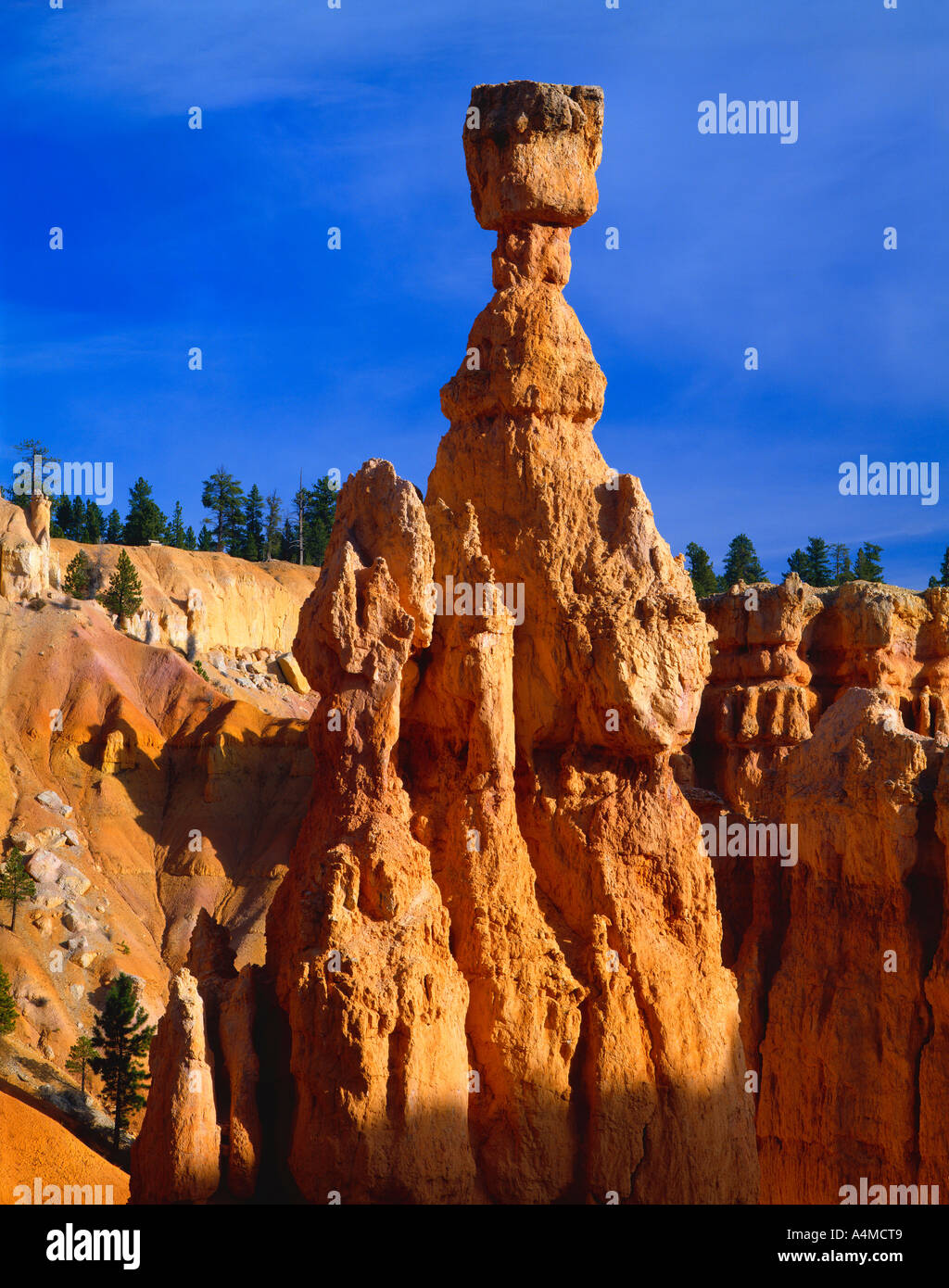 Thor s Hammer rock formation Bryce Canyon National Park Stock Photo