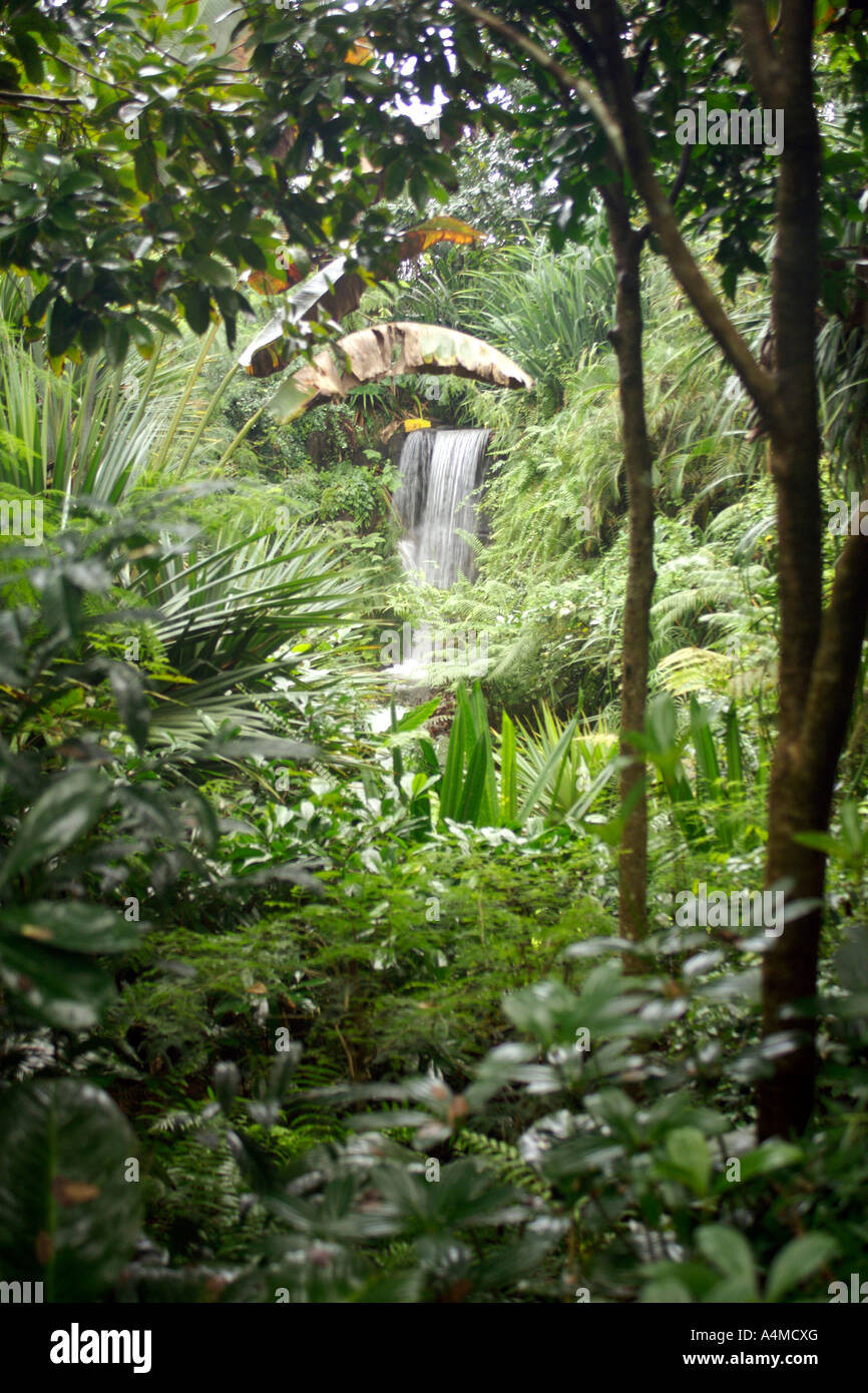 Interior of the Masoala rainforest project which forms part of the Zürich zoo in Switzerland. Stock Photo