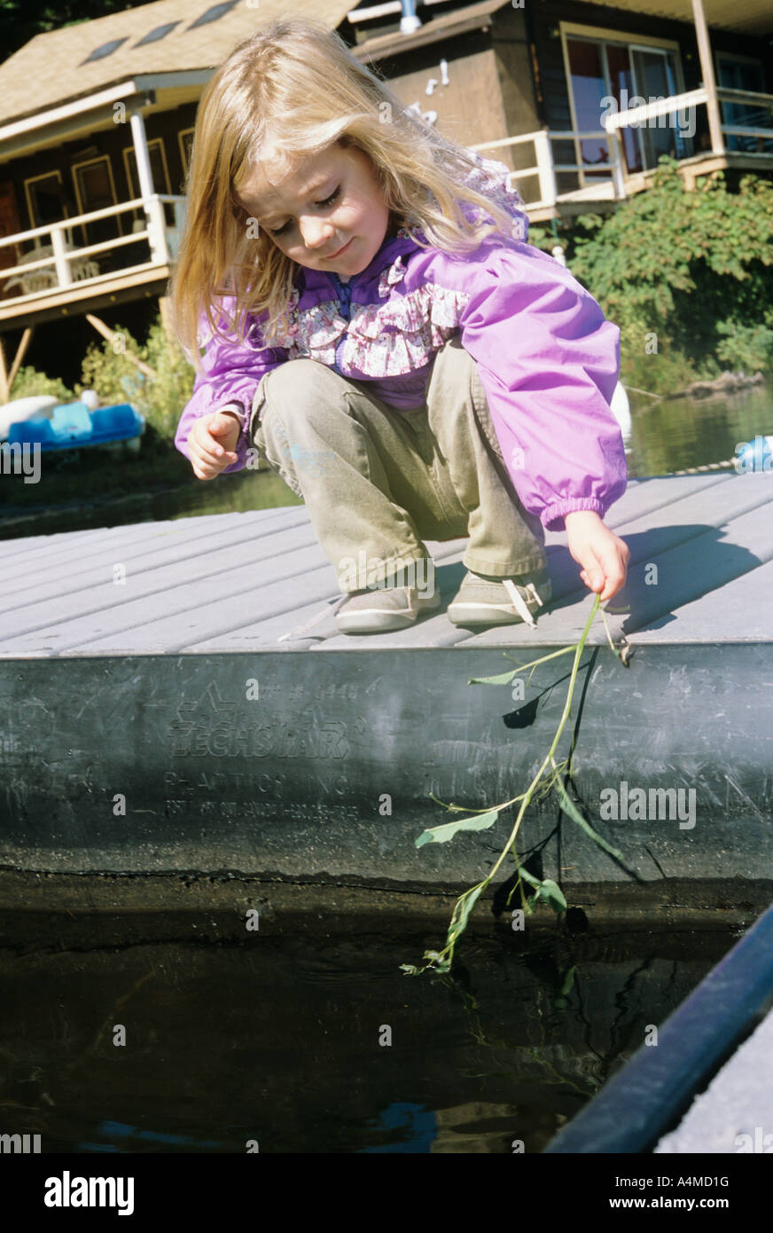 GIRL (APP. 3-5 YRS.) DIPPING BRANCH IN WATER Stock Photo