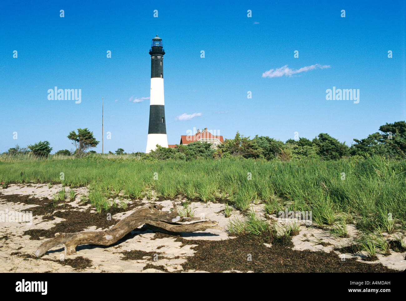 LIGHT HOUSE, FIRE ISLAND, NEW YORK Stock Photo Alamy