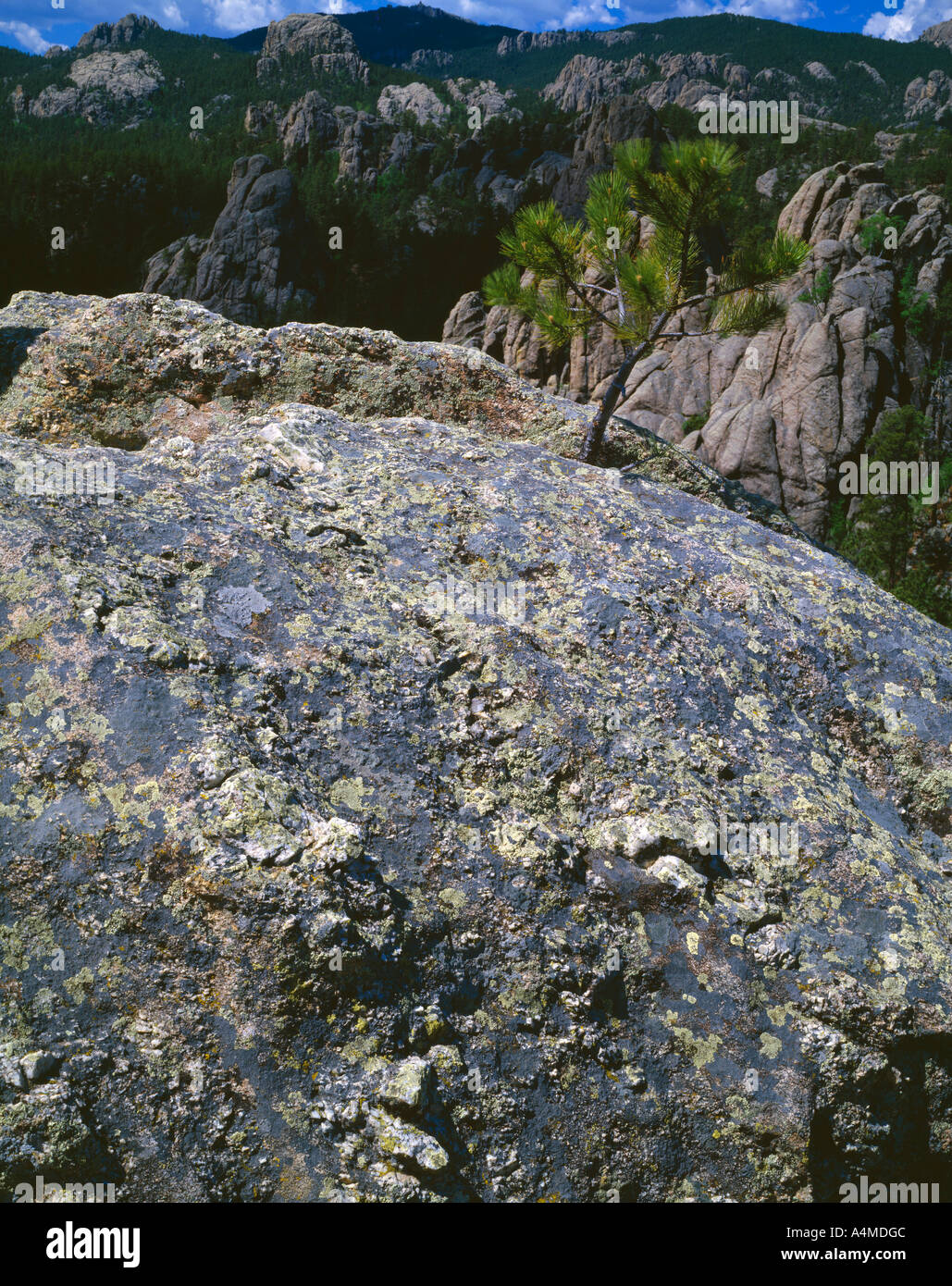 Granite rocks Black Hills National Forest Stock Photo - Alamy