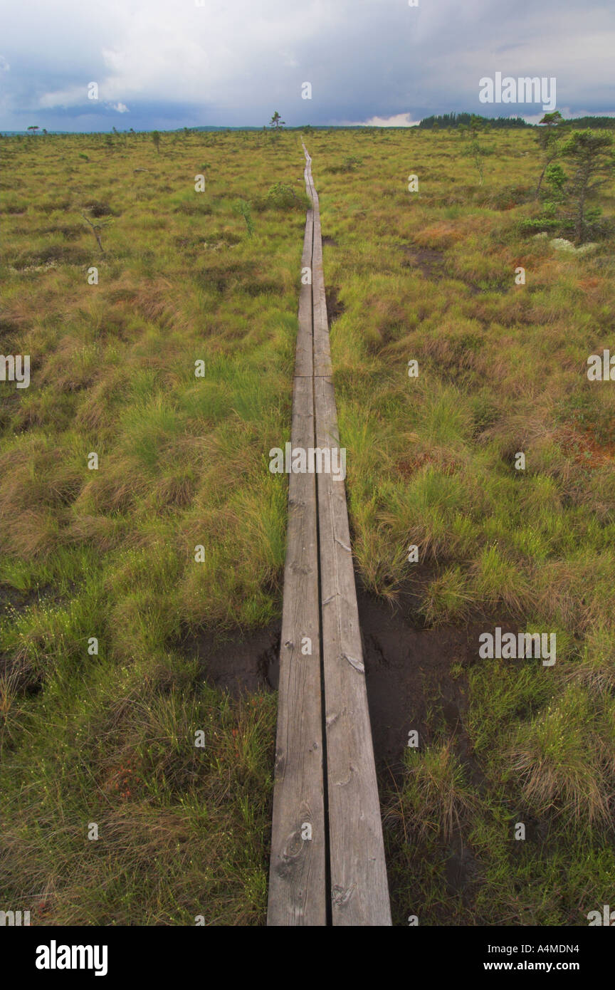 Store Mosse Nationalpark store mosse hi-res stock photography and images - Alamy