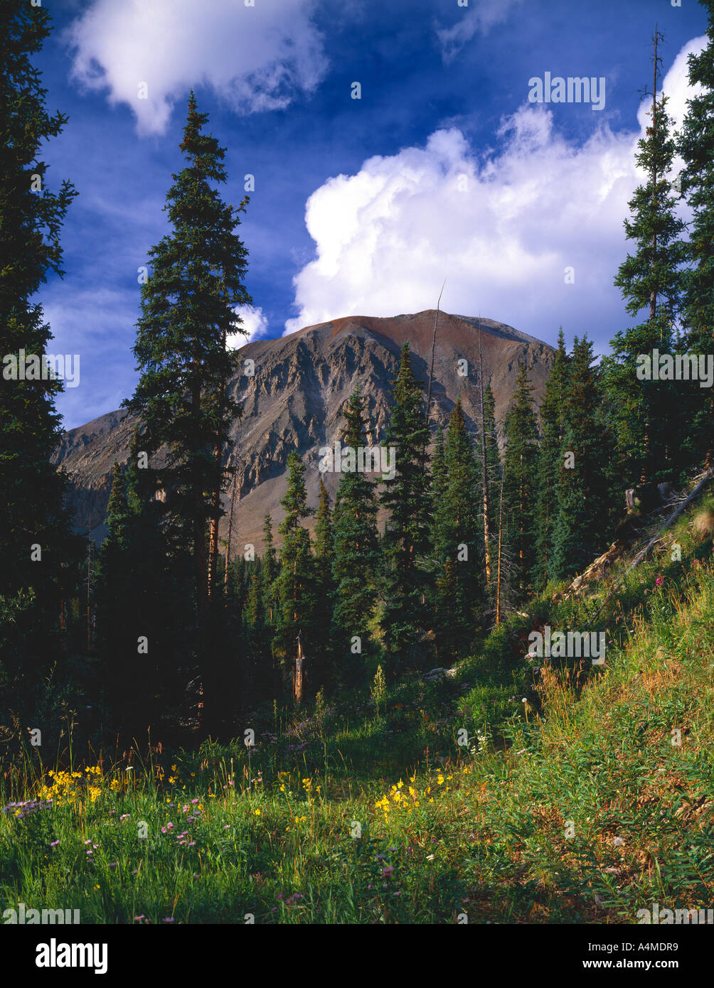 San juan national forest hi-res stock photography and images - Alamy