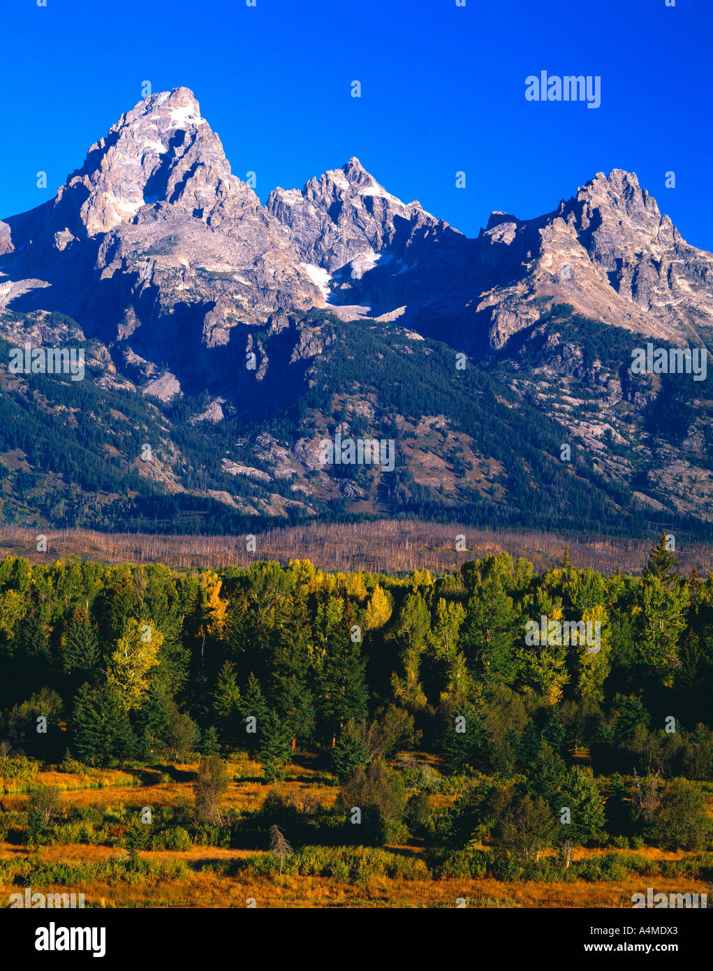 Jagged Peaks Teton Range Hi res Stock Photography And Images Alamy Jagged Peaks Teton Range Hi res Stock Photography And Images Alamy