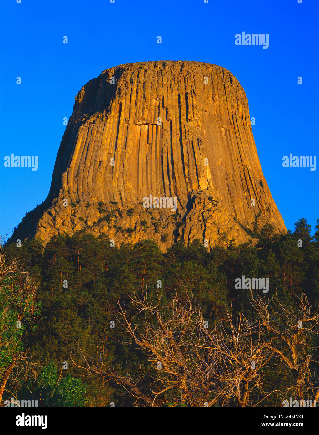 Volcanic core Devils Tower National Monument Stock Photo - Alamy