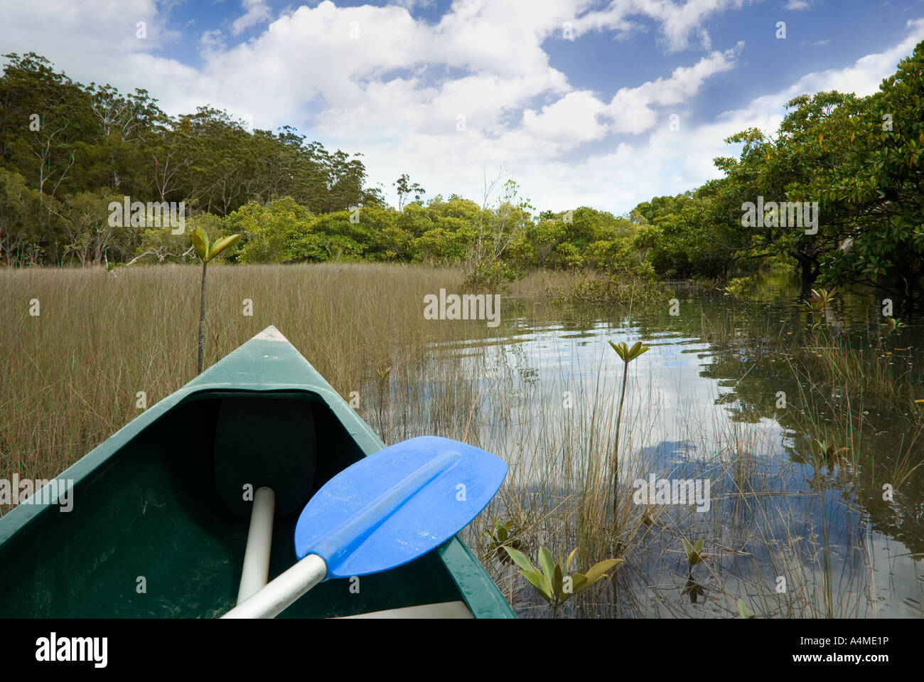 Canoeing Fraser Island, Queensland, AUSTRALIA Stock Photo Alamy