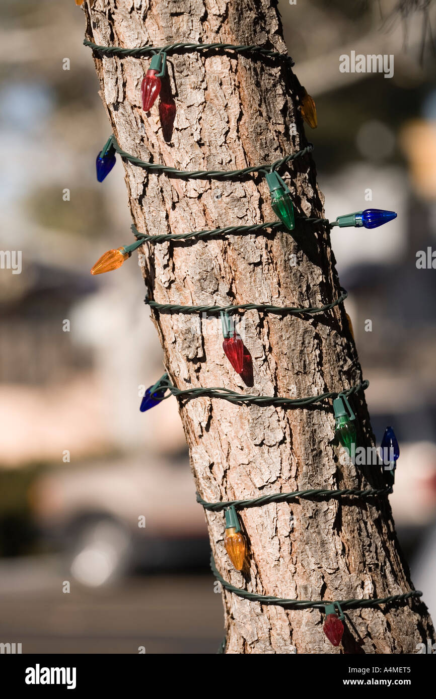 Lights on trunk hires stock photography and images Alamy