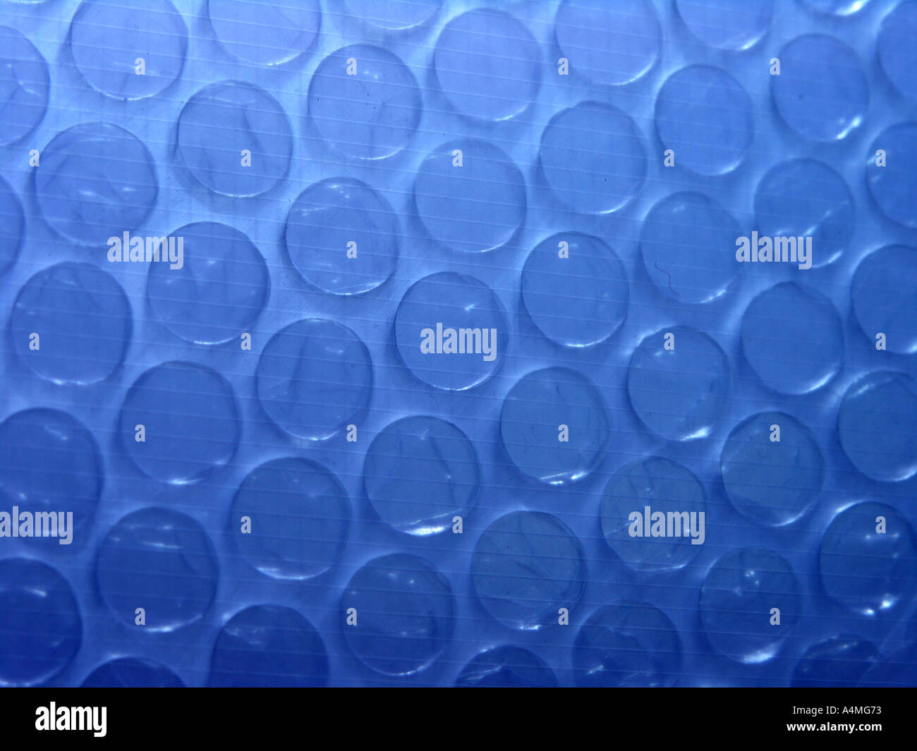 Blue plastic bubble wrap Stock Photo Alamy