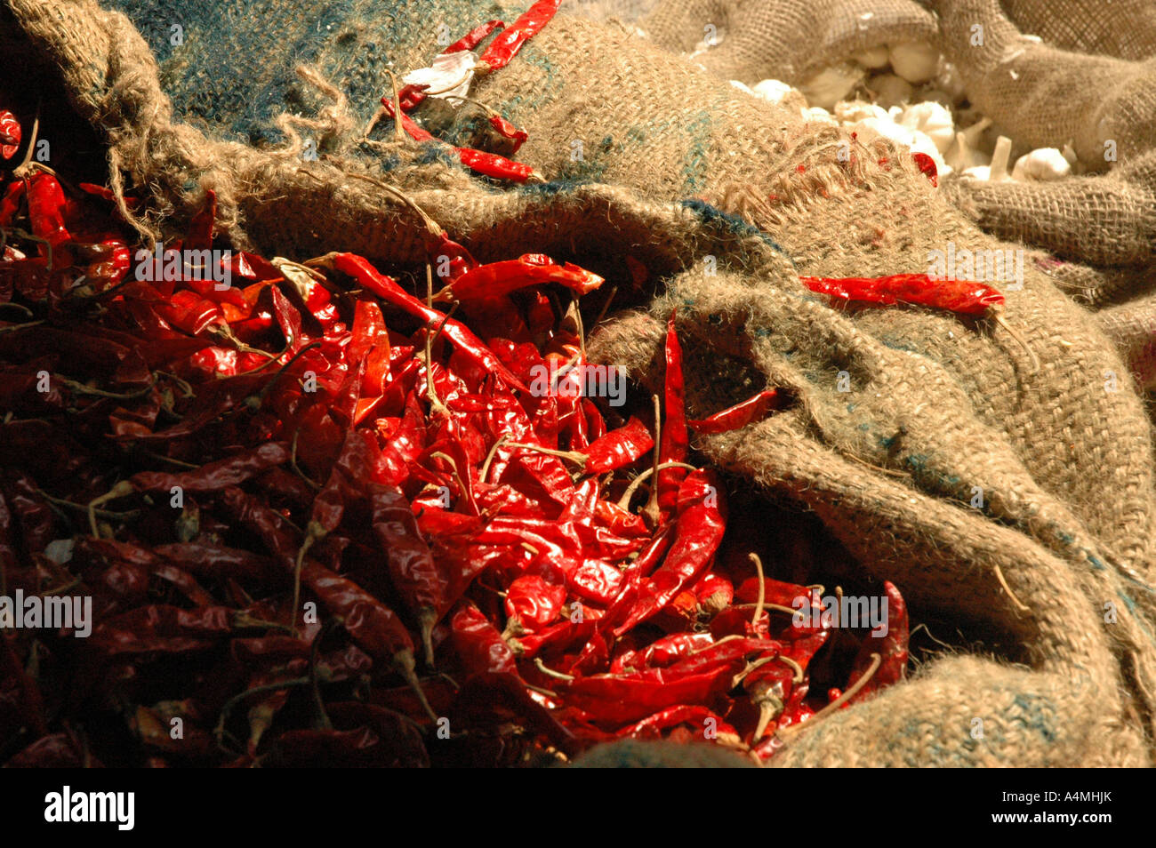 Chilis in spice market Kerala India Stock Photo