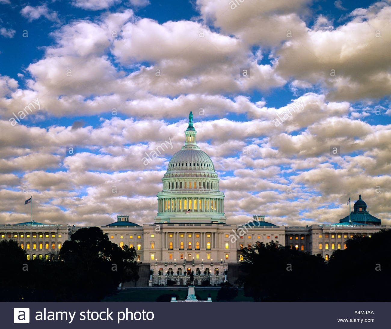 My Image 16