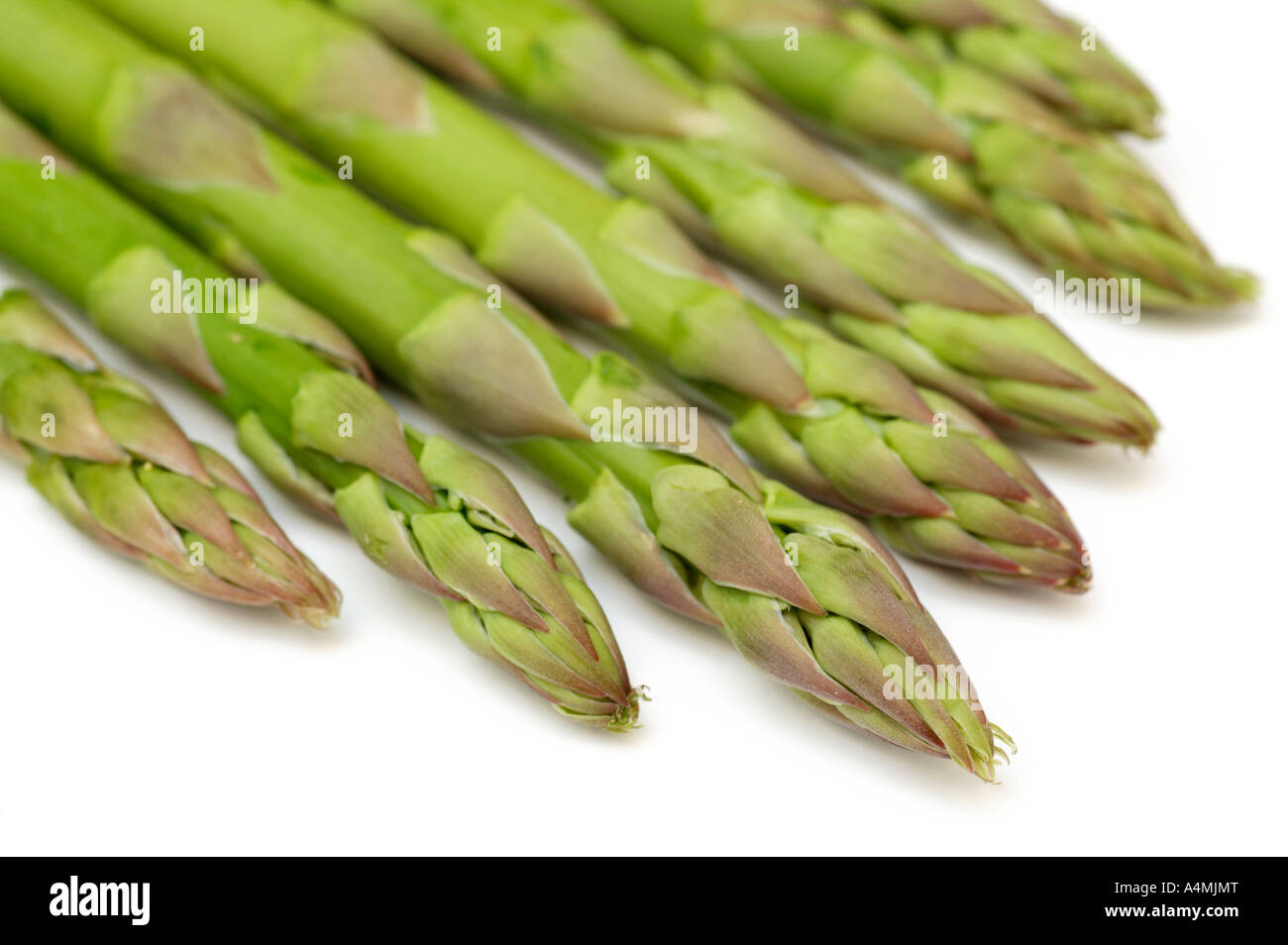 Asparagus Tips Stock Photo