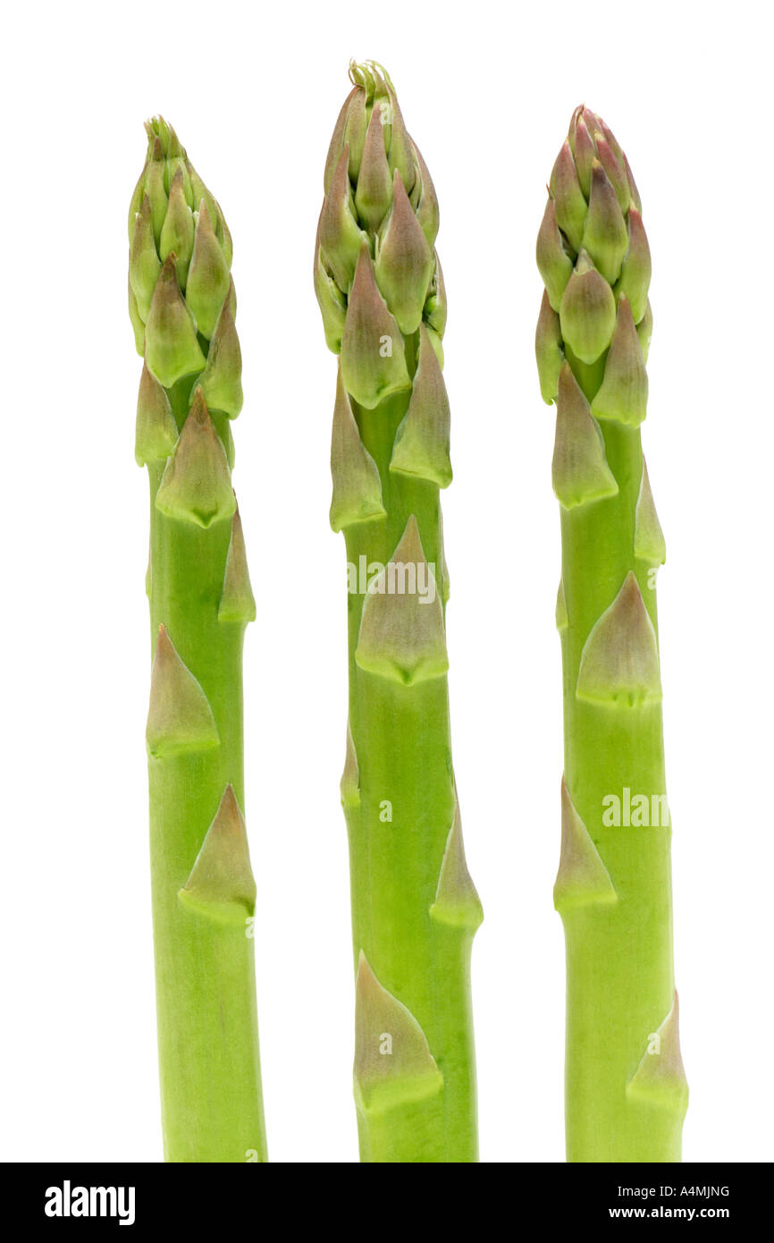 Three Asparagus Tips Stock Photo